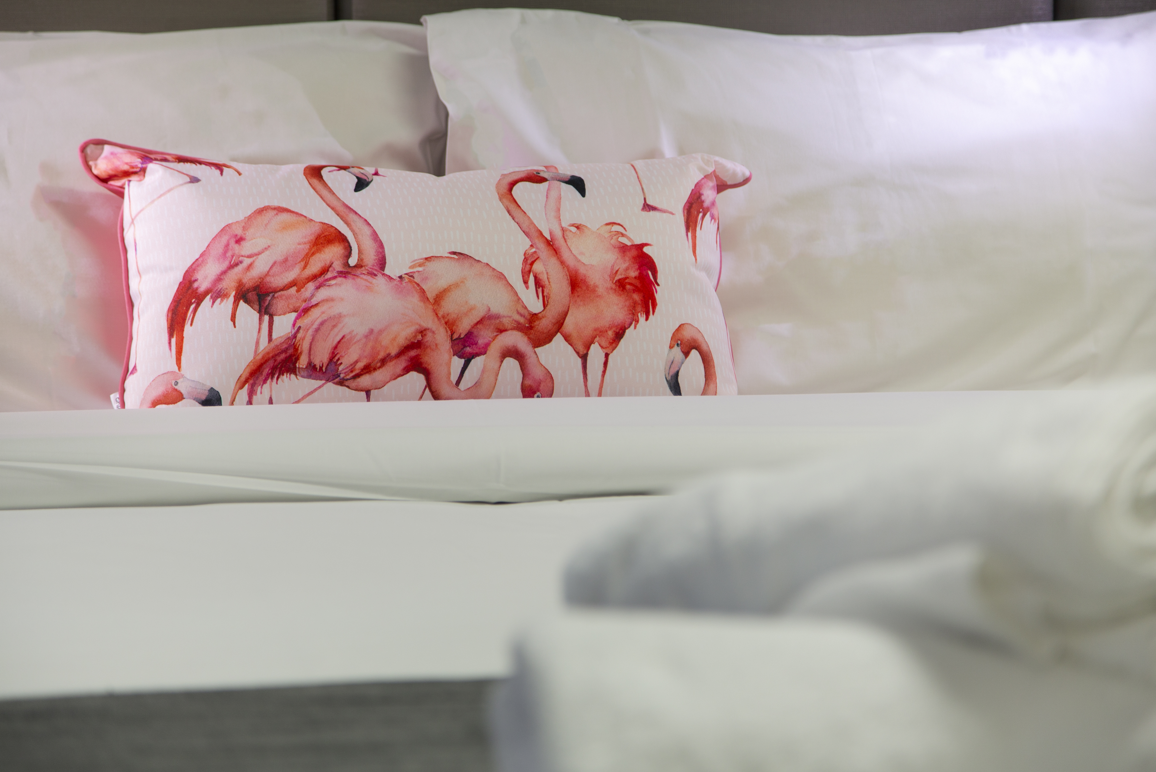 Double King Size Bed