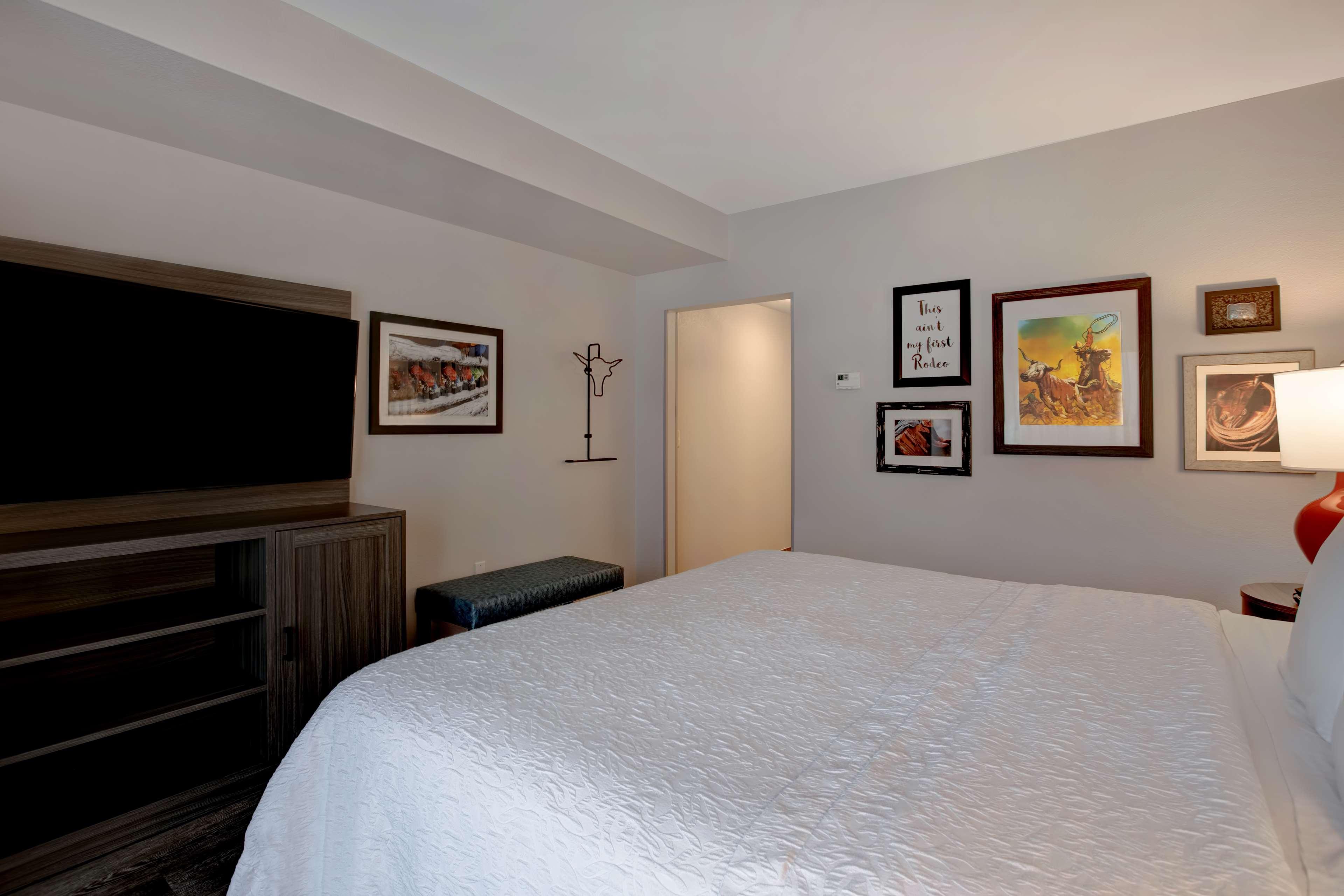 Suite King Bed Non Smoking