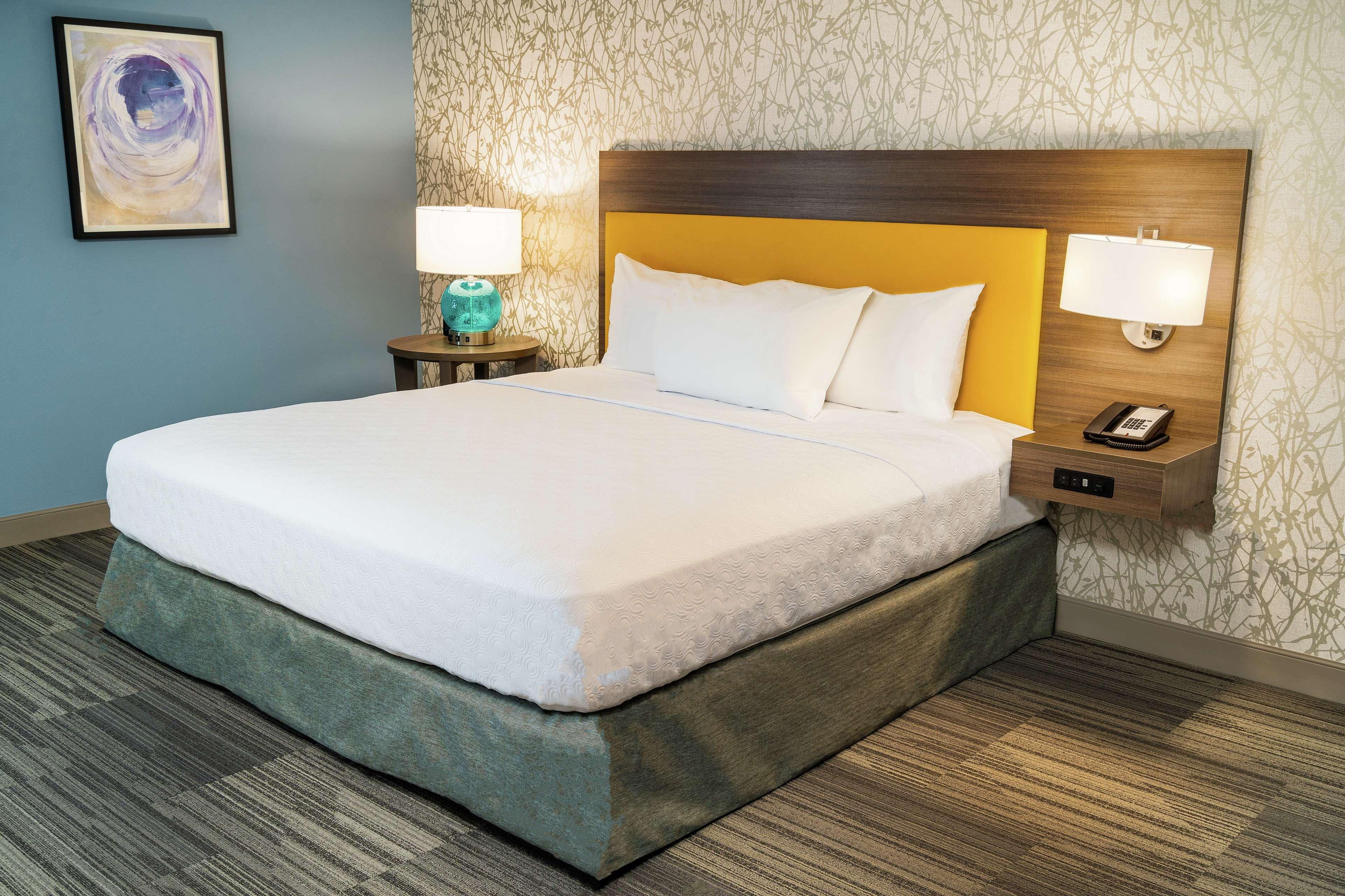 Suite King Bed Non Smoking