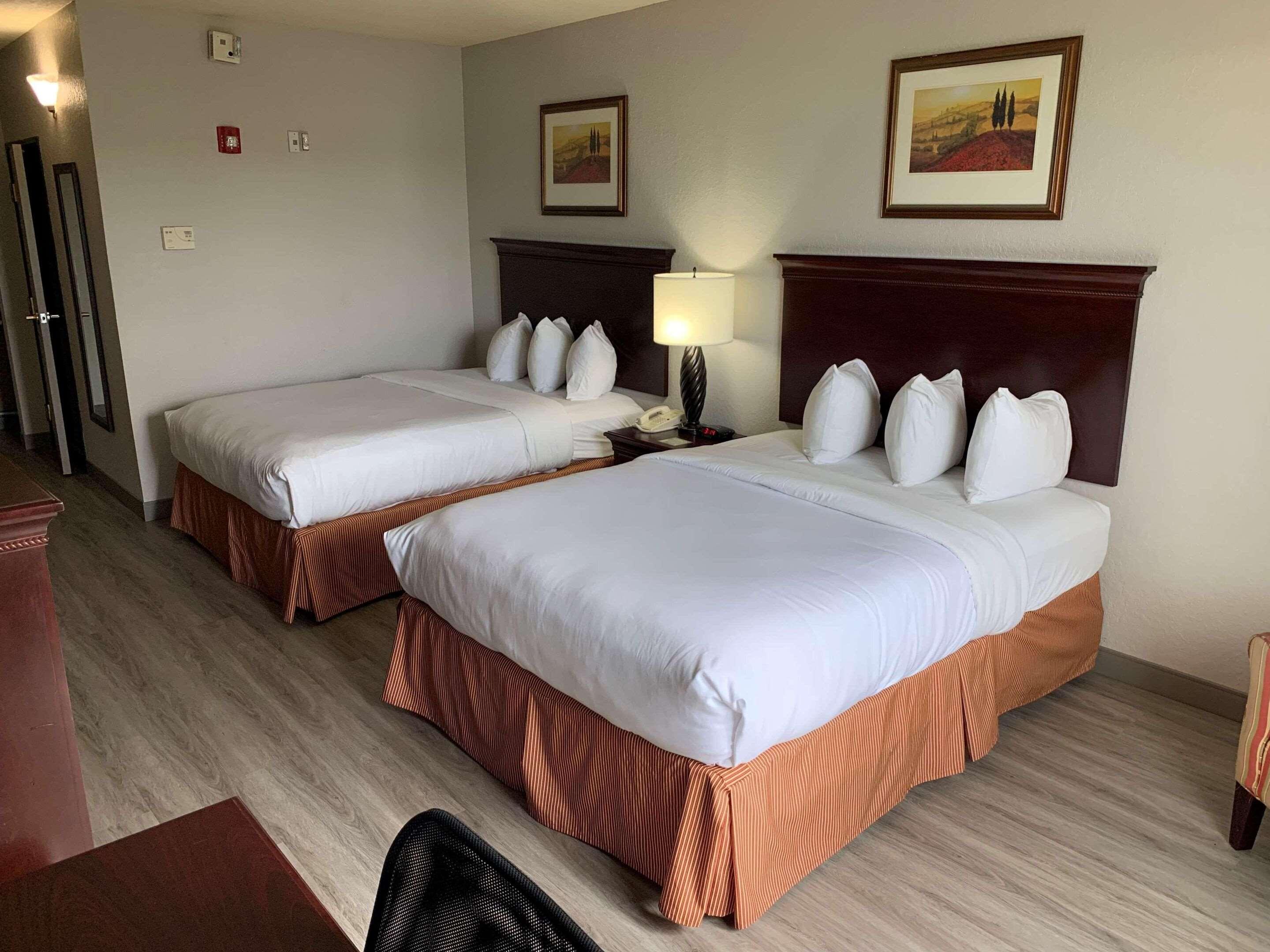 Room Accessible-two Queen Beds