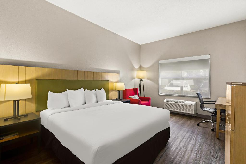 Suite Accessible King Size Bed