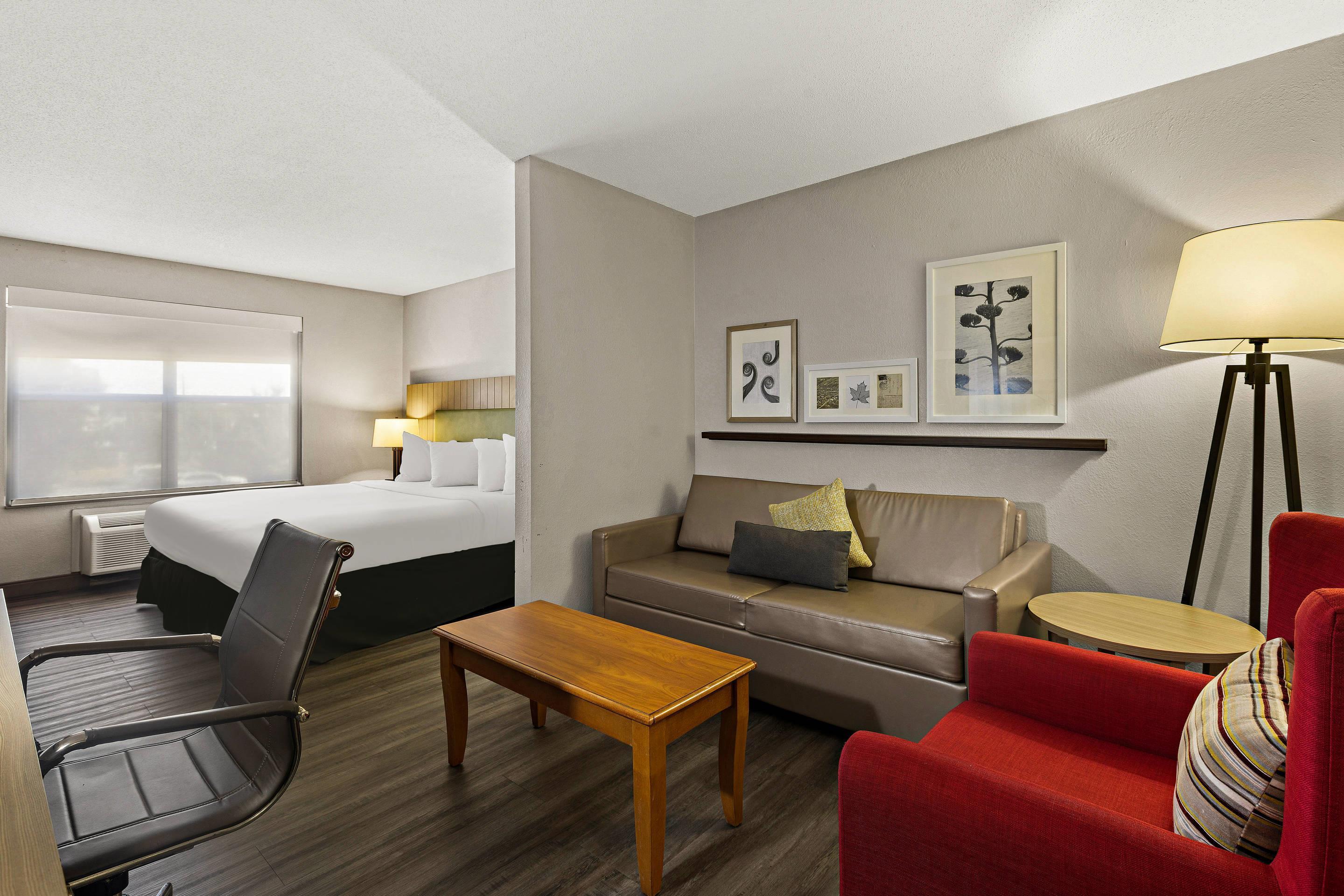 Suite King Bed One Bedroom 