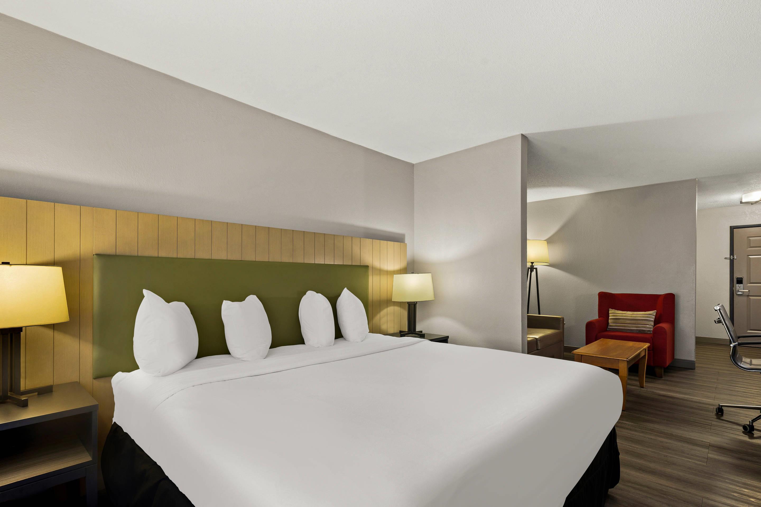 Suite King Bed One Bedroom 