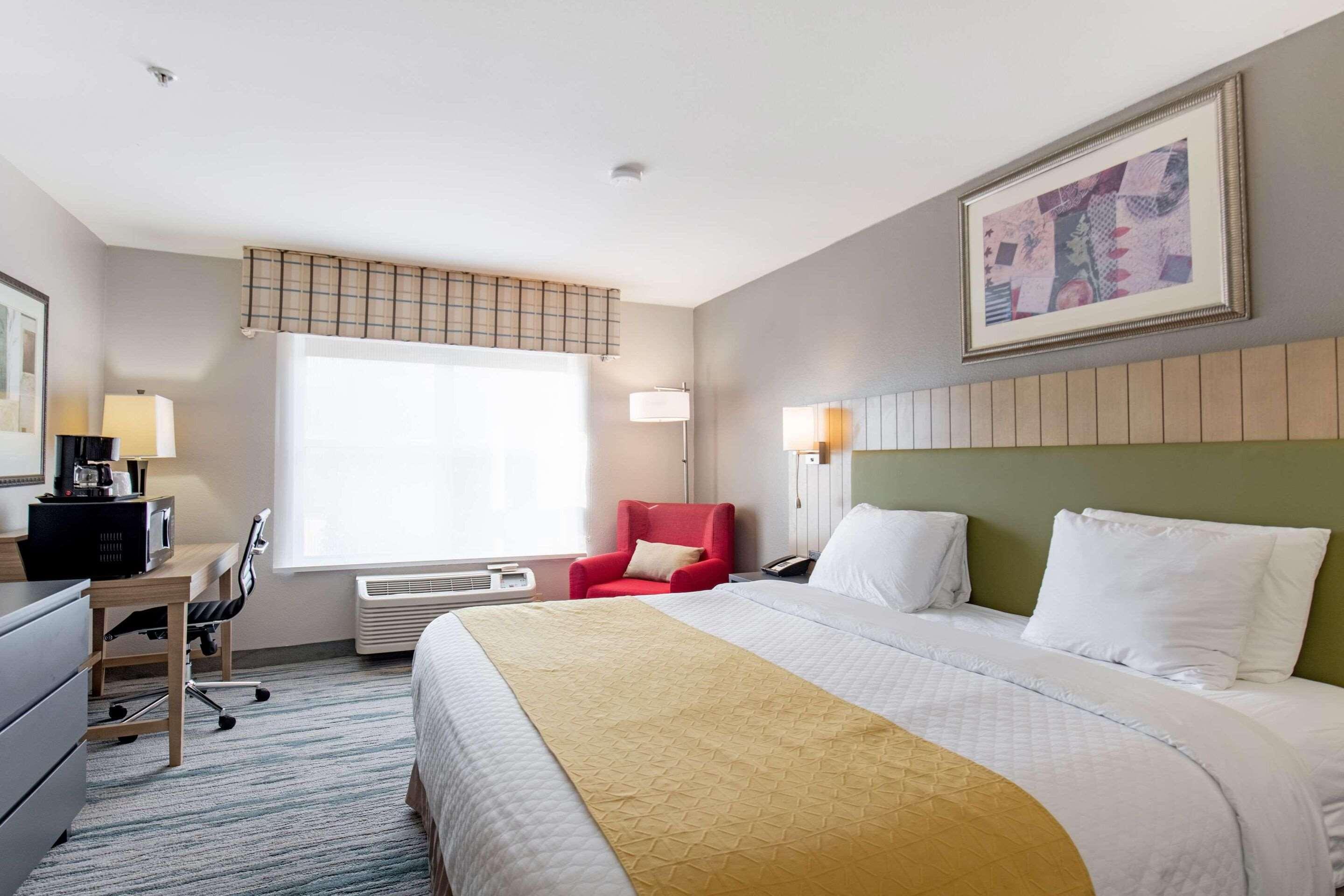 Room King Bed Non Smoking