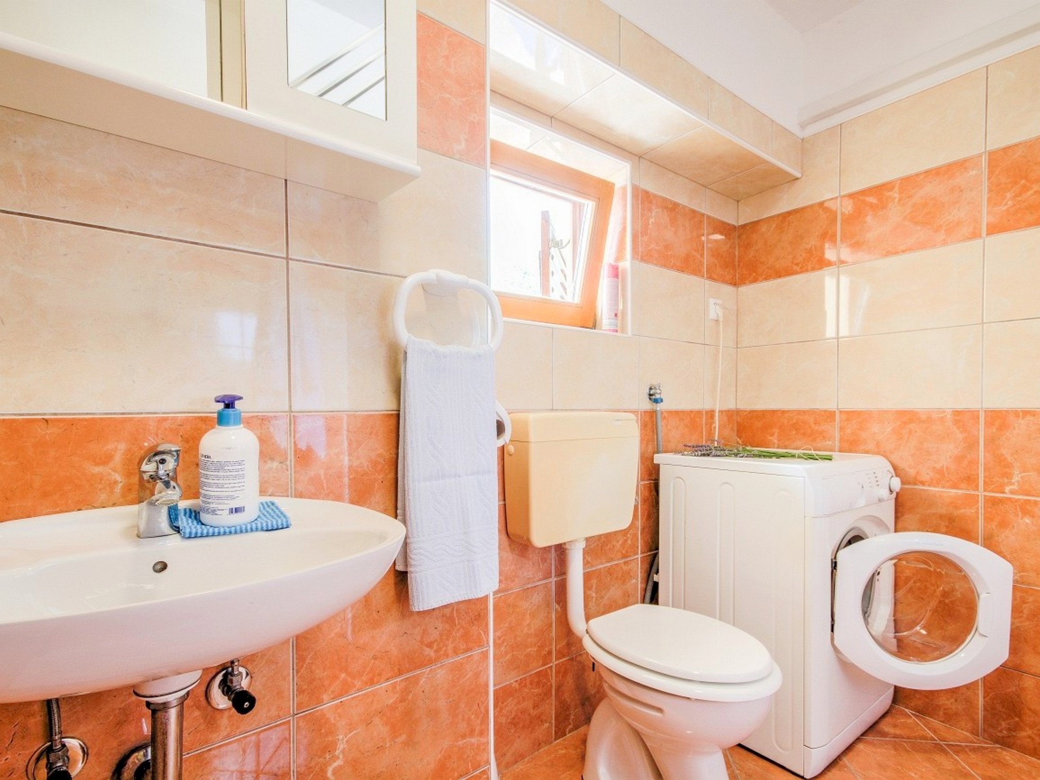 Apartment Capacity 3