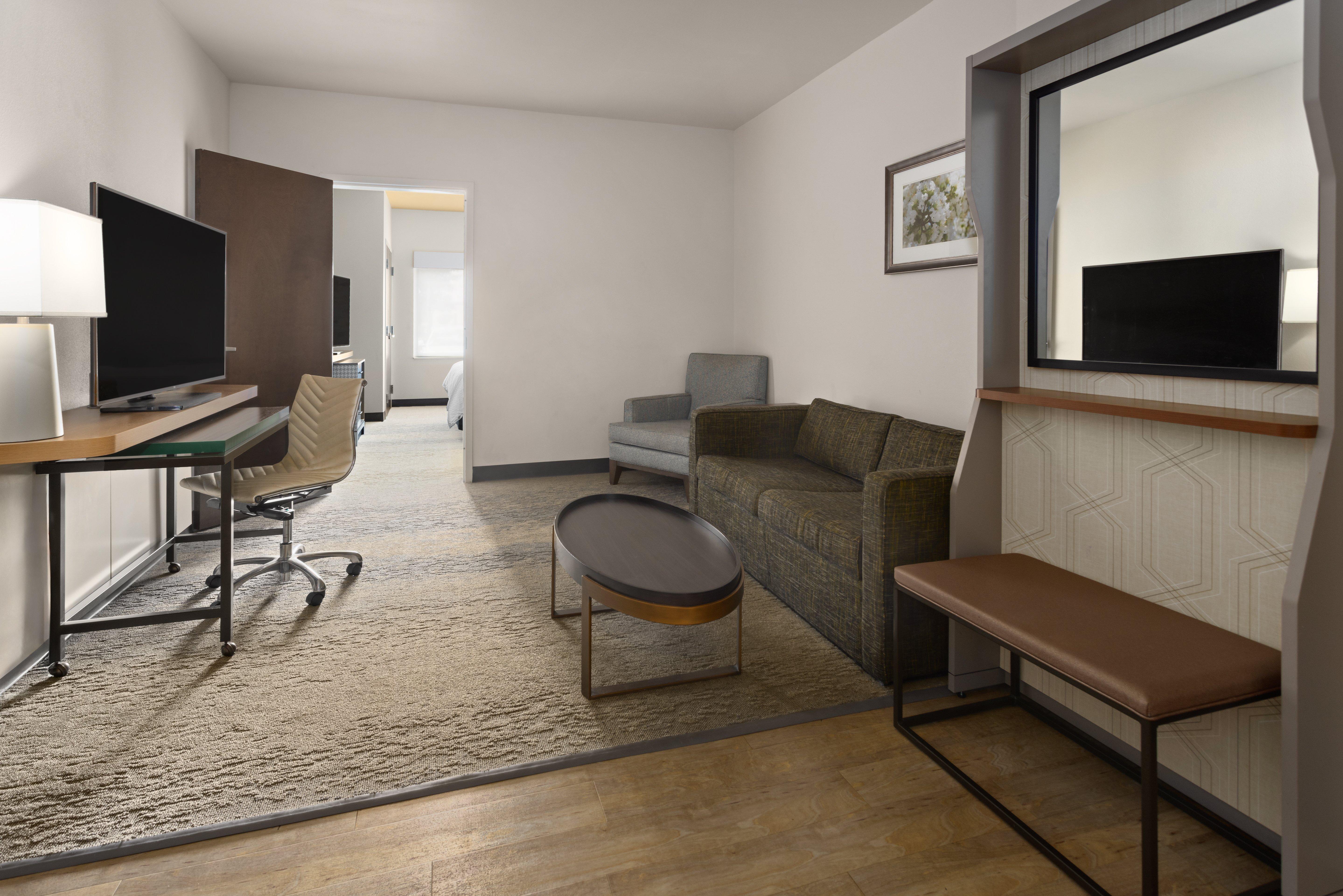 Suite King Bed One Bedroom 