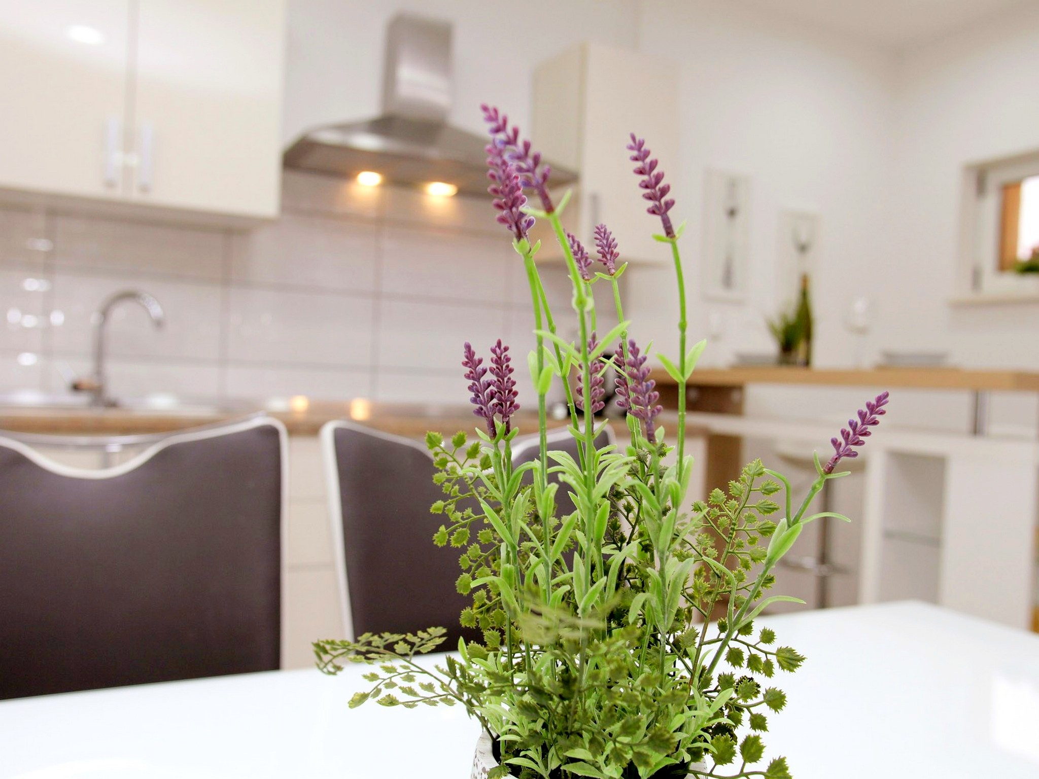 Apartment Capacity 4