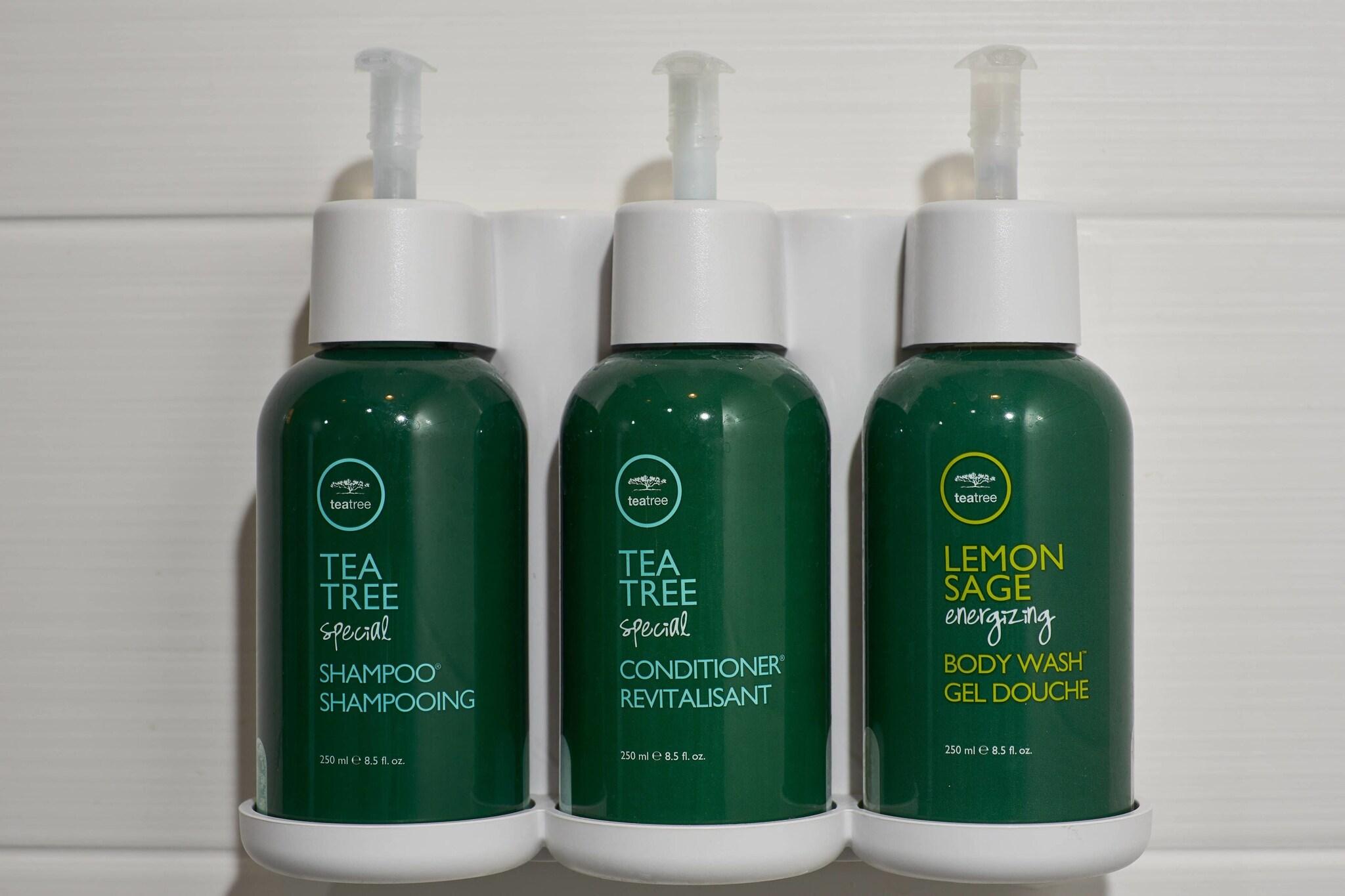 Studio Two Queen Beds