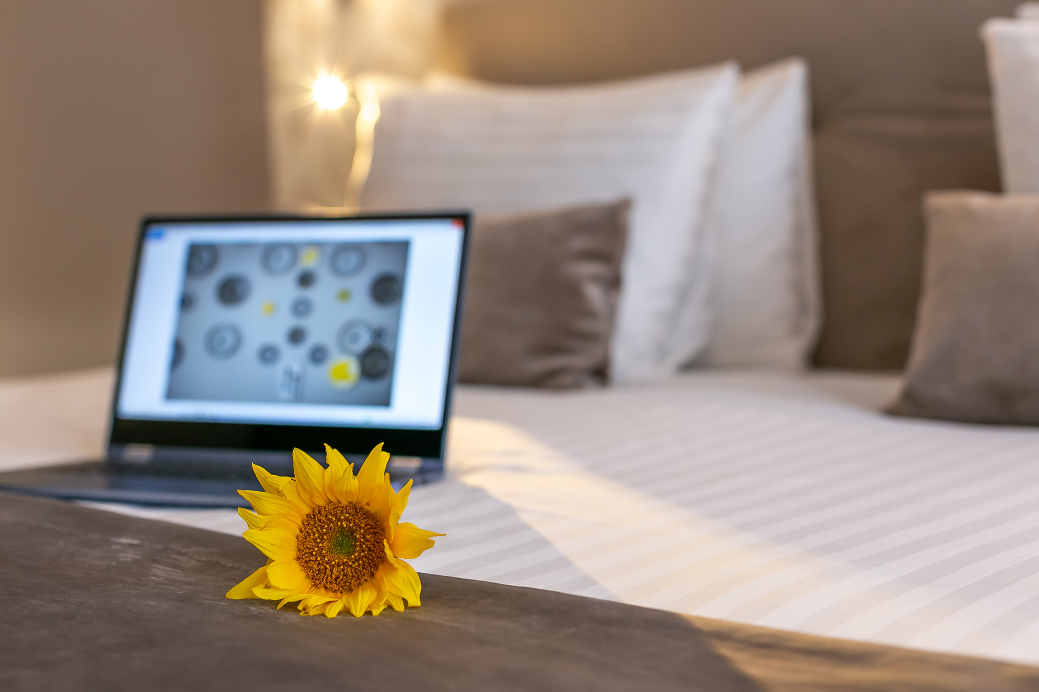 Double Single Deluxe with Balcony