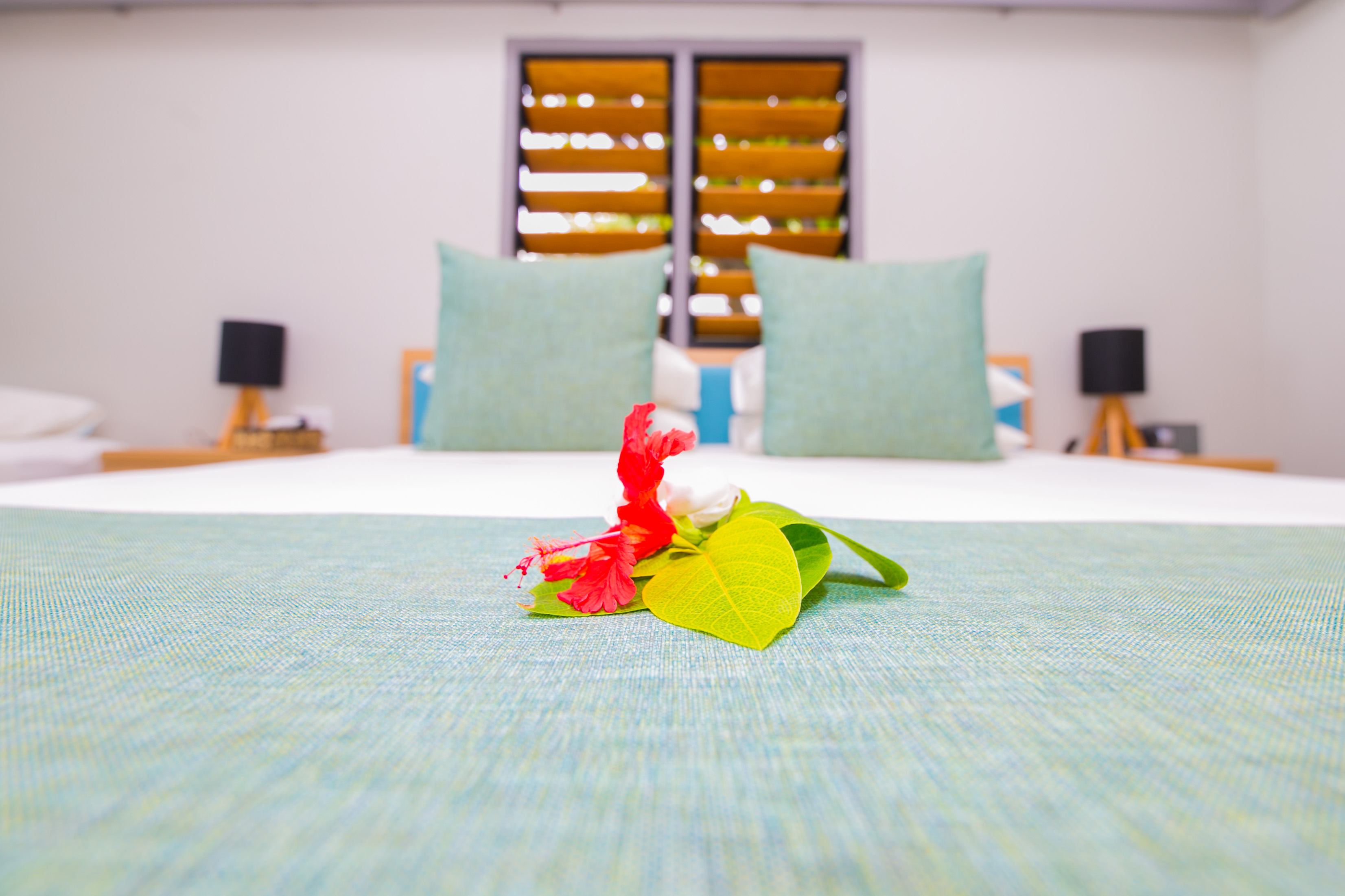 Family Room Beach Front