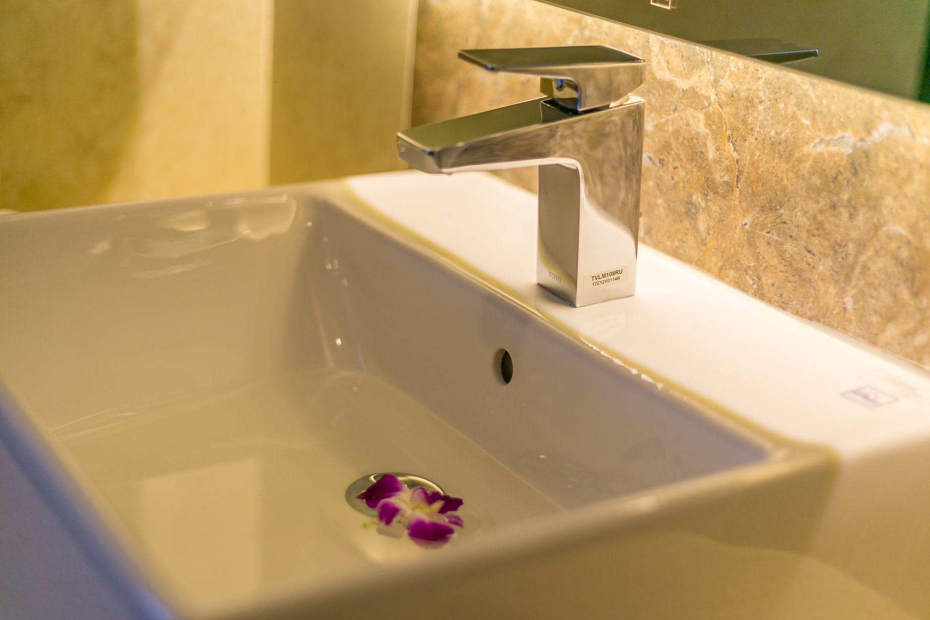 Double Deluxe Ocean View