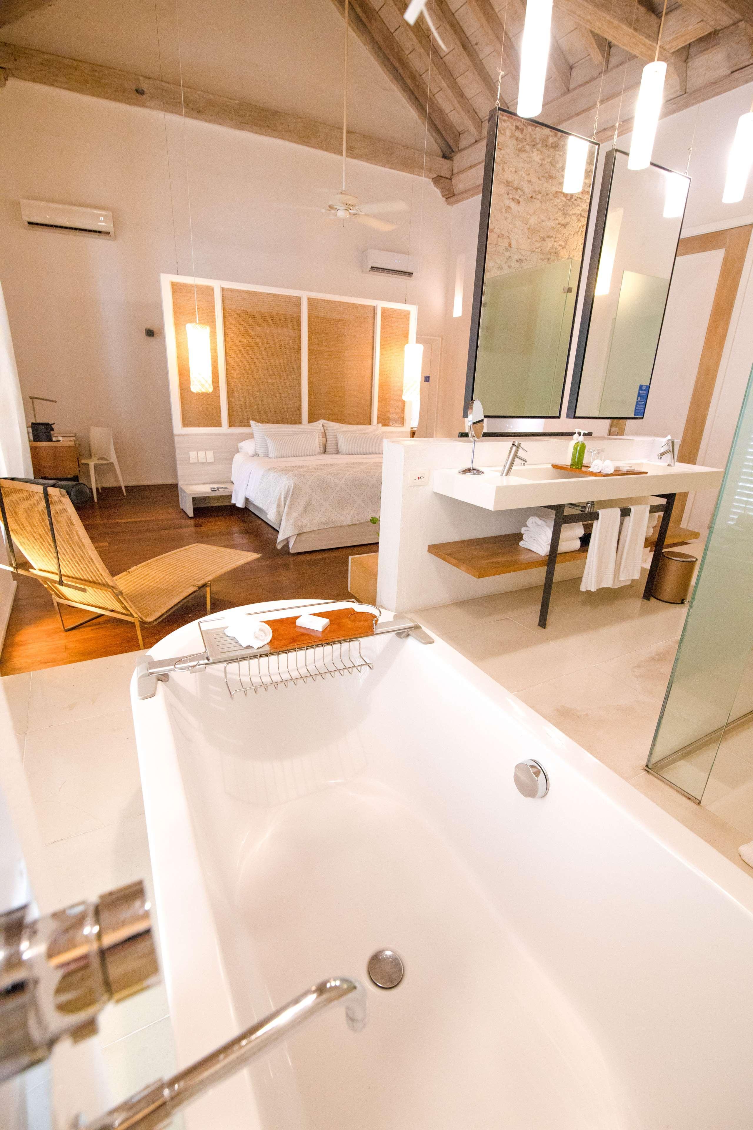 Suite King Bed One Bedroom 