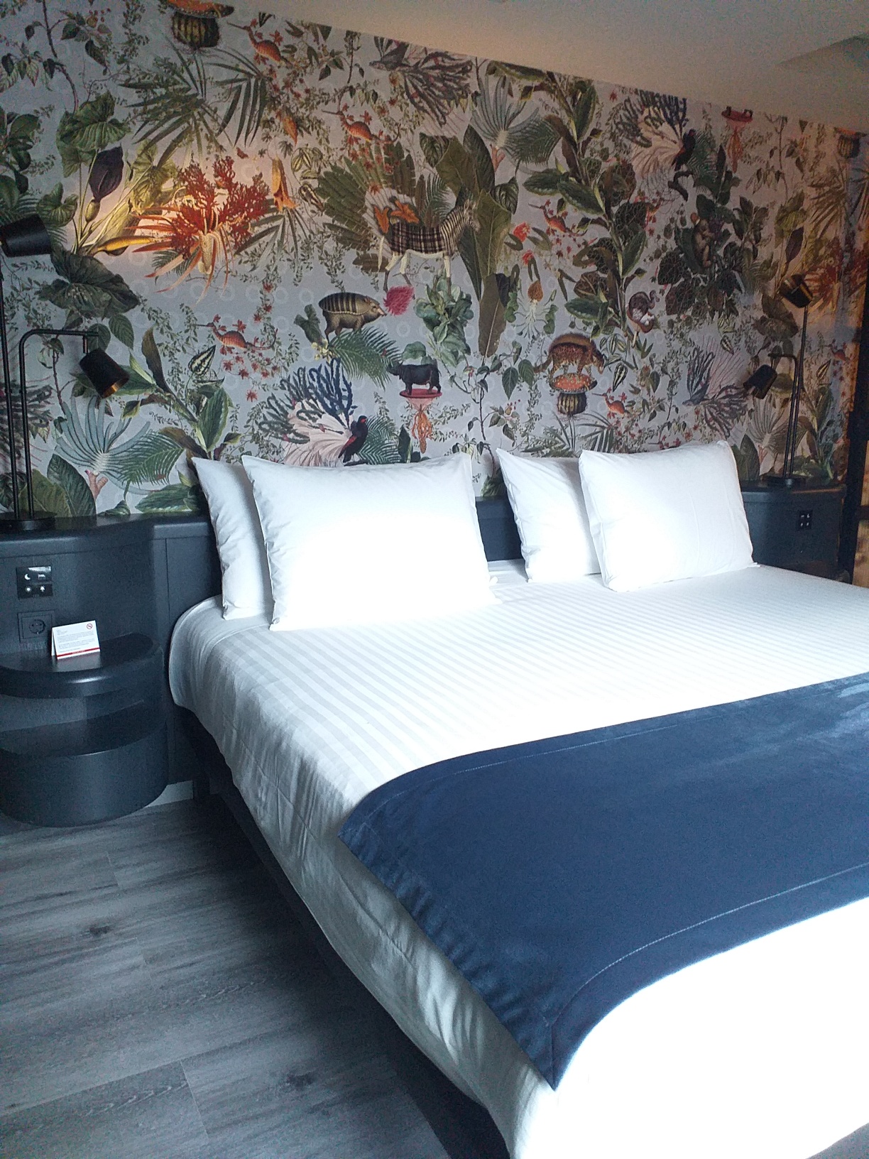 Double Single Deluxe