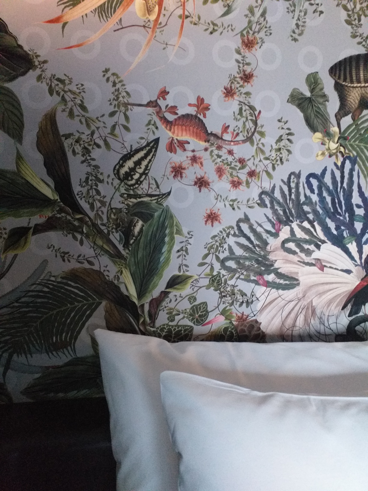 Double Single Deluxe