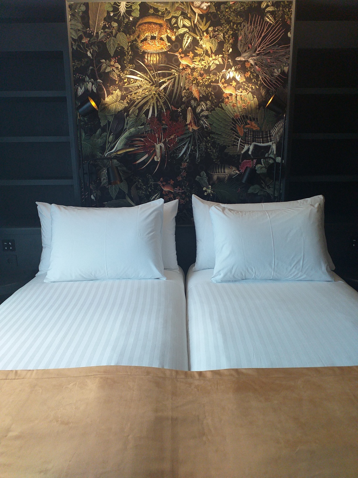 Double Single Deluxe