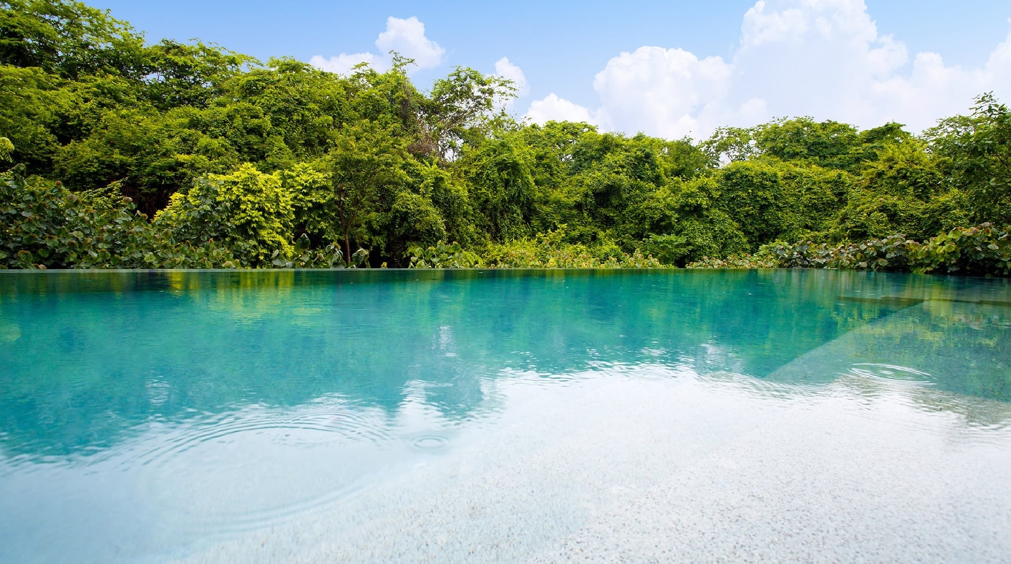 Single King Size Bed