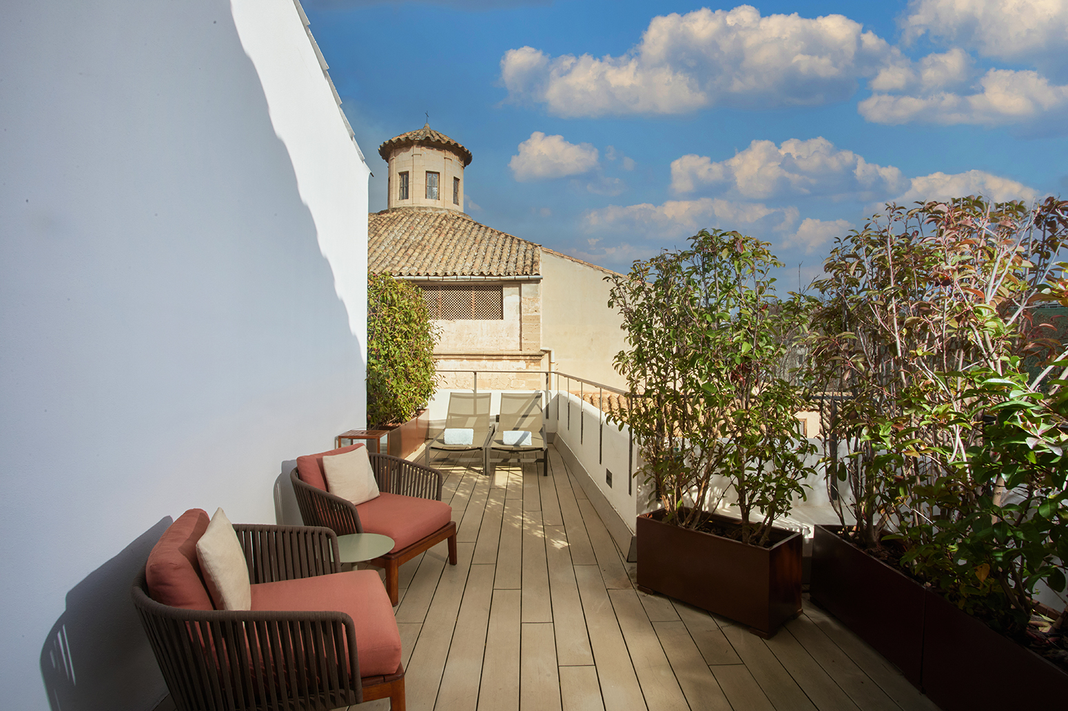 Junior Suite with Terrace