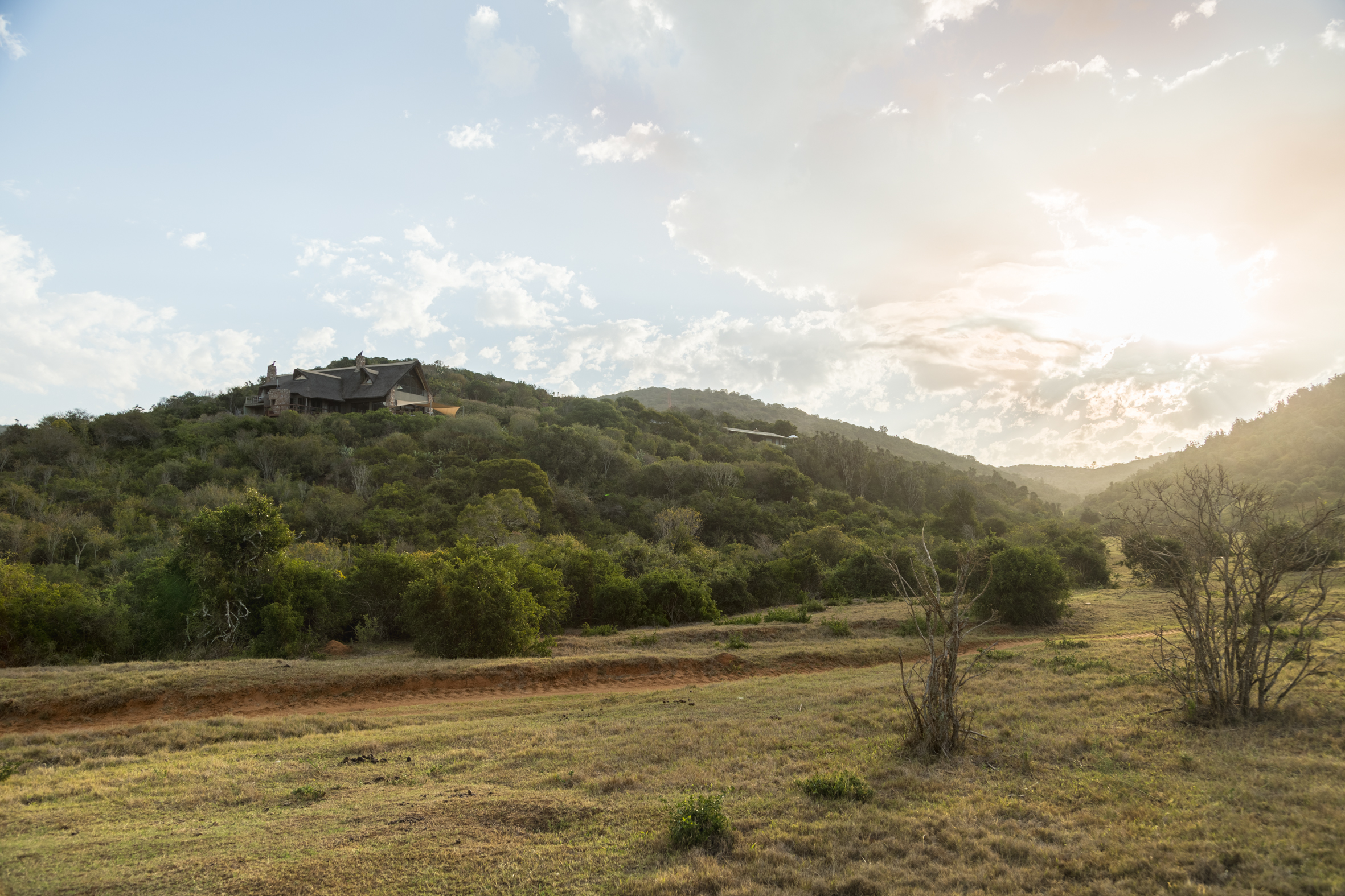 Suite with Private Pool