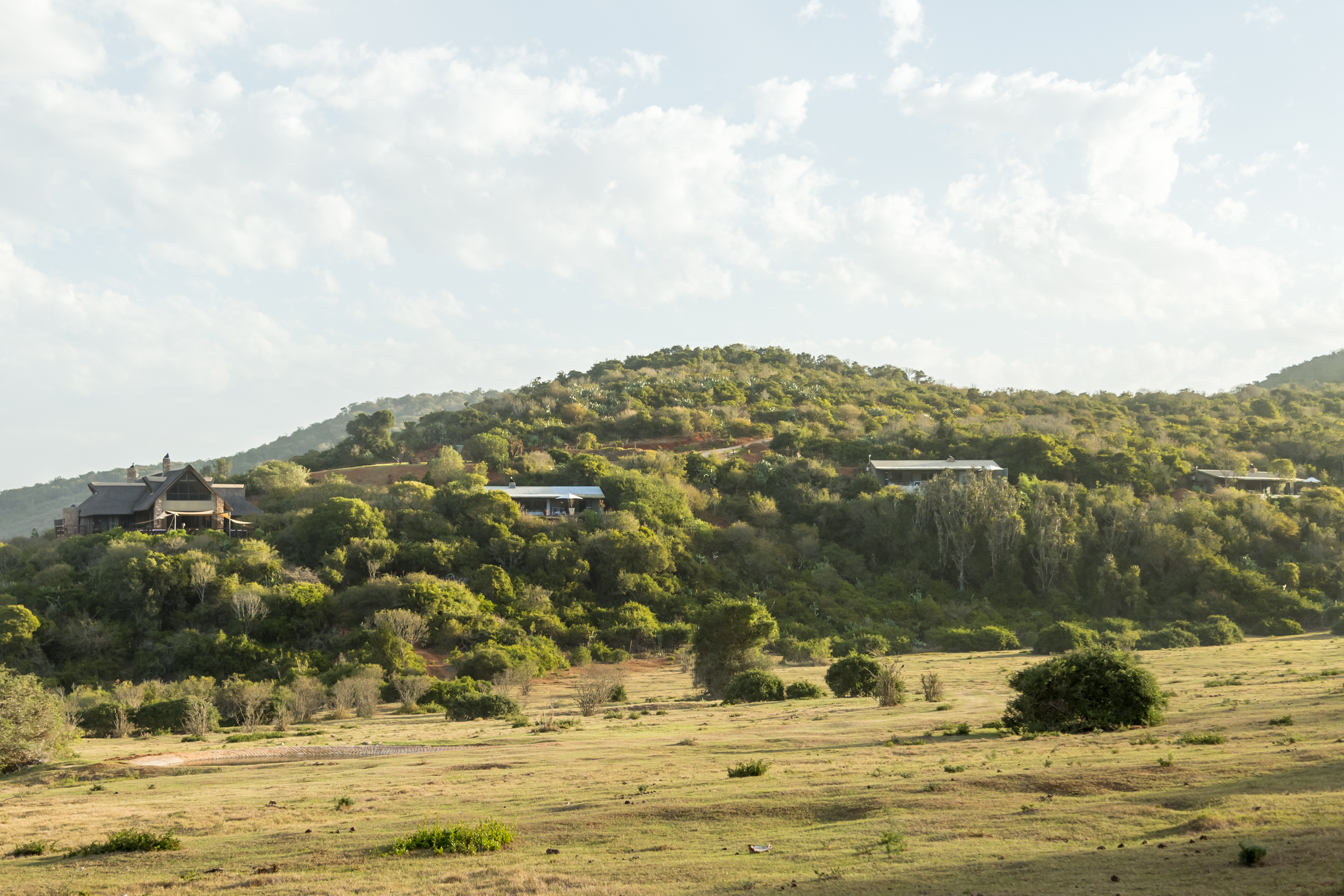 Suite with Private Pool