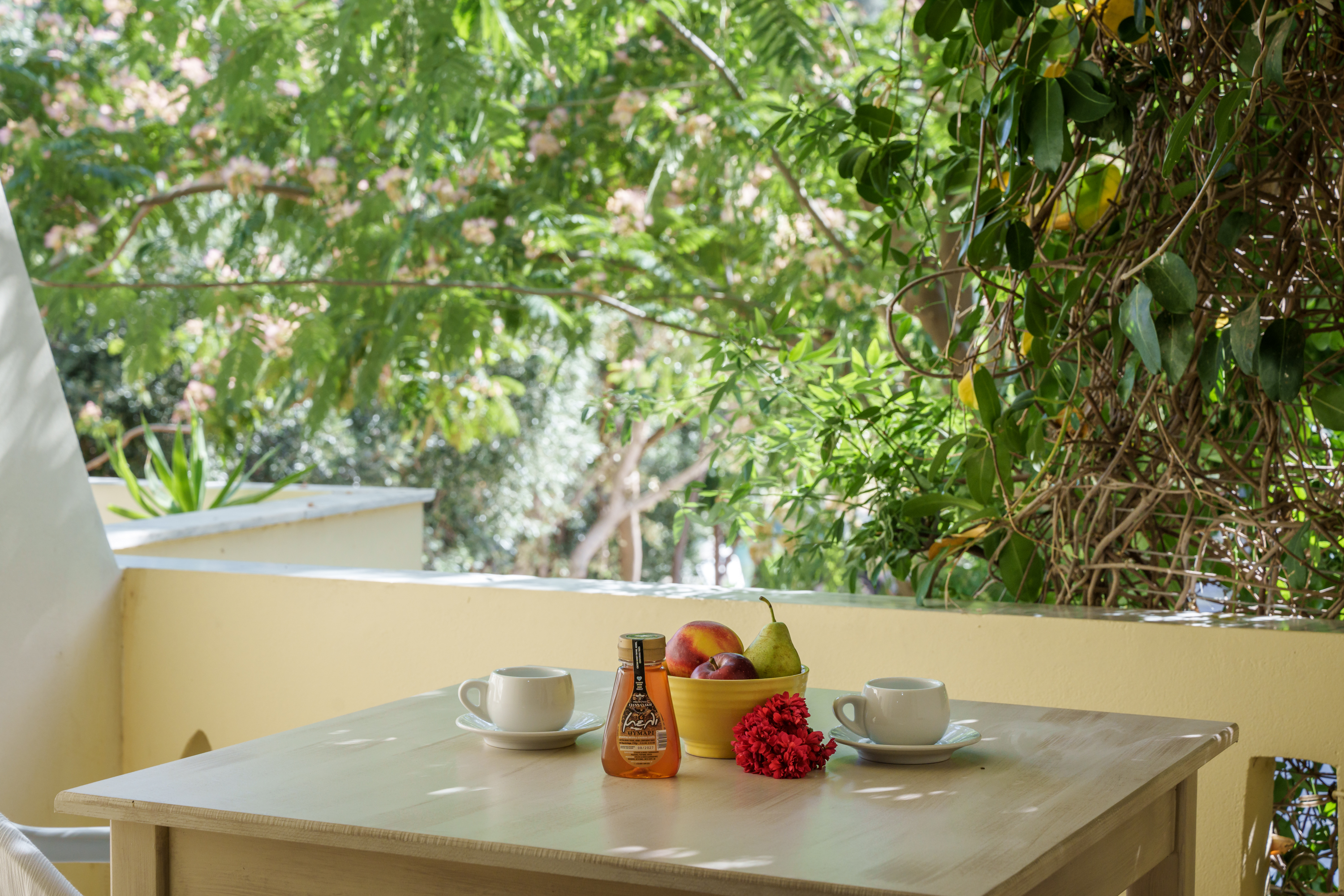 Apartment Mountain View