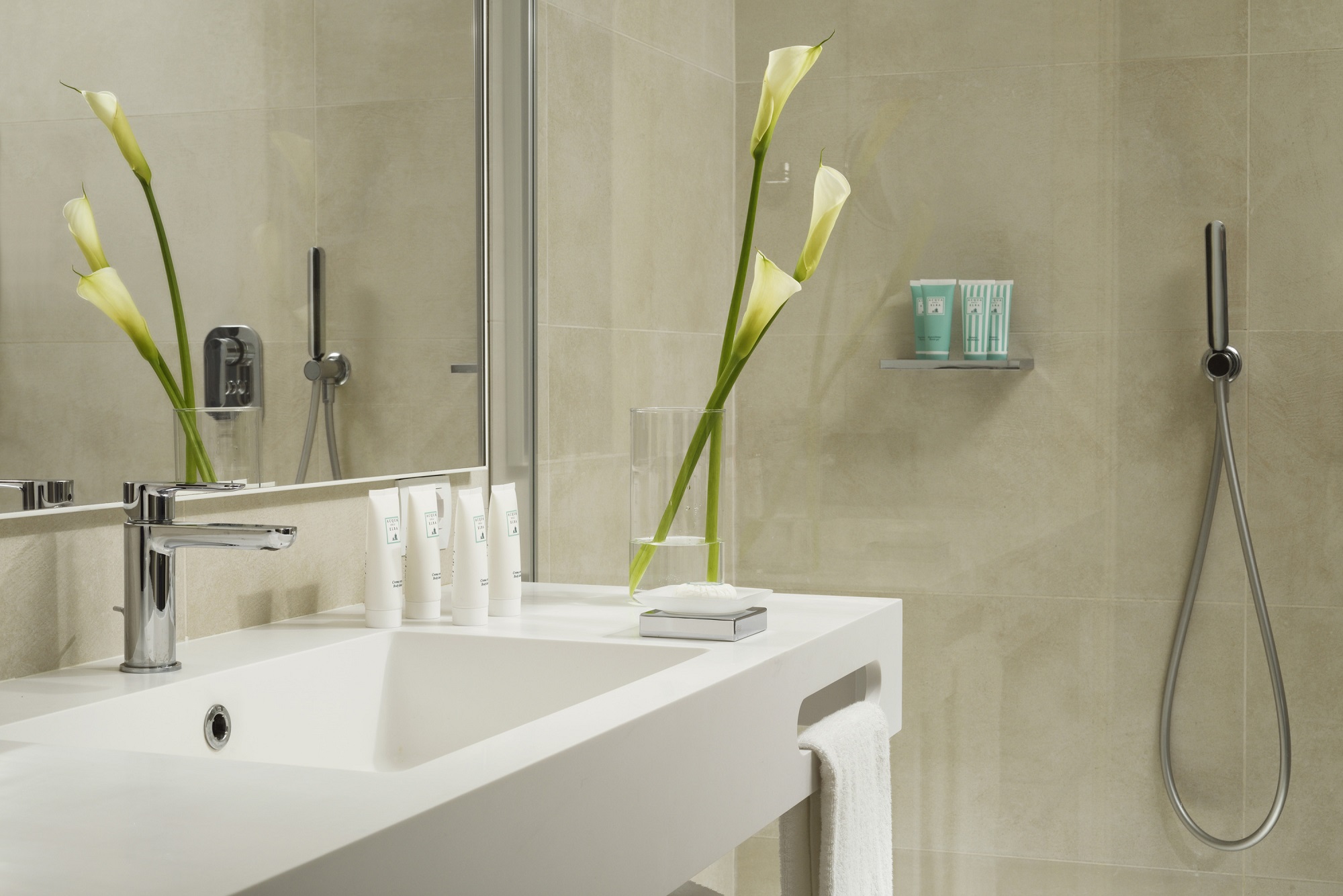 Suite One Bedroom with Terrace