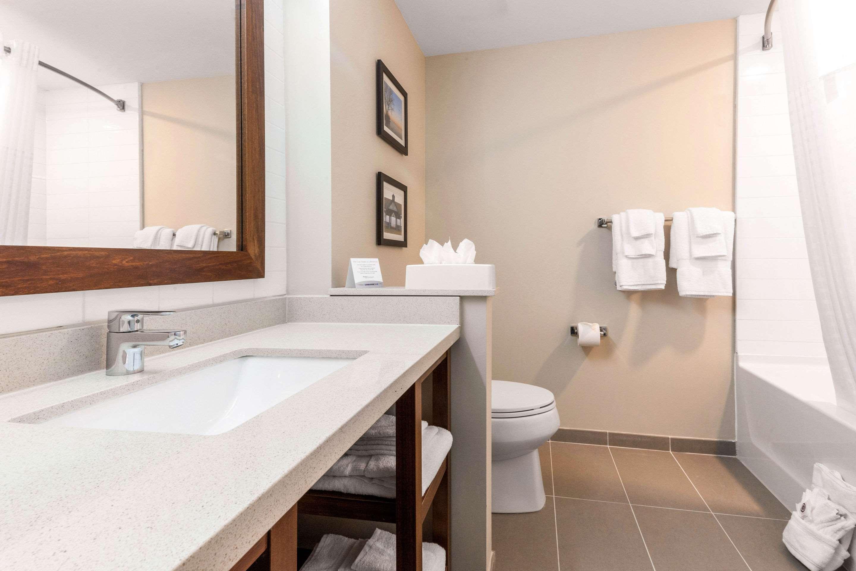 Suite King Bed Non Smoking