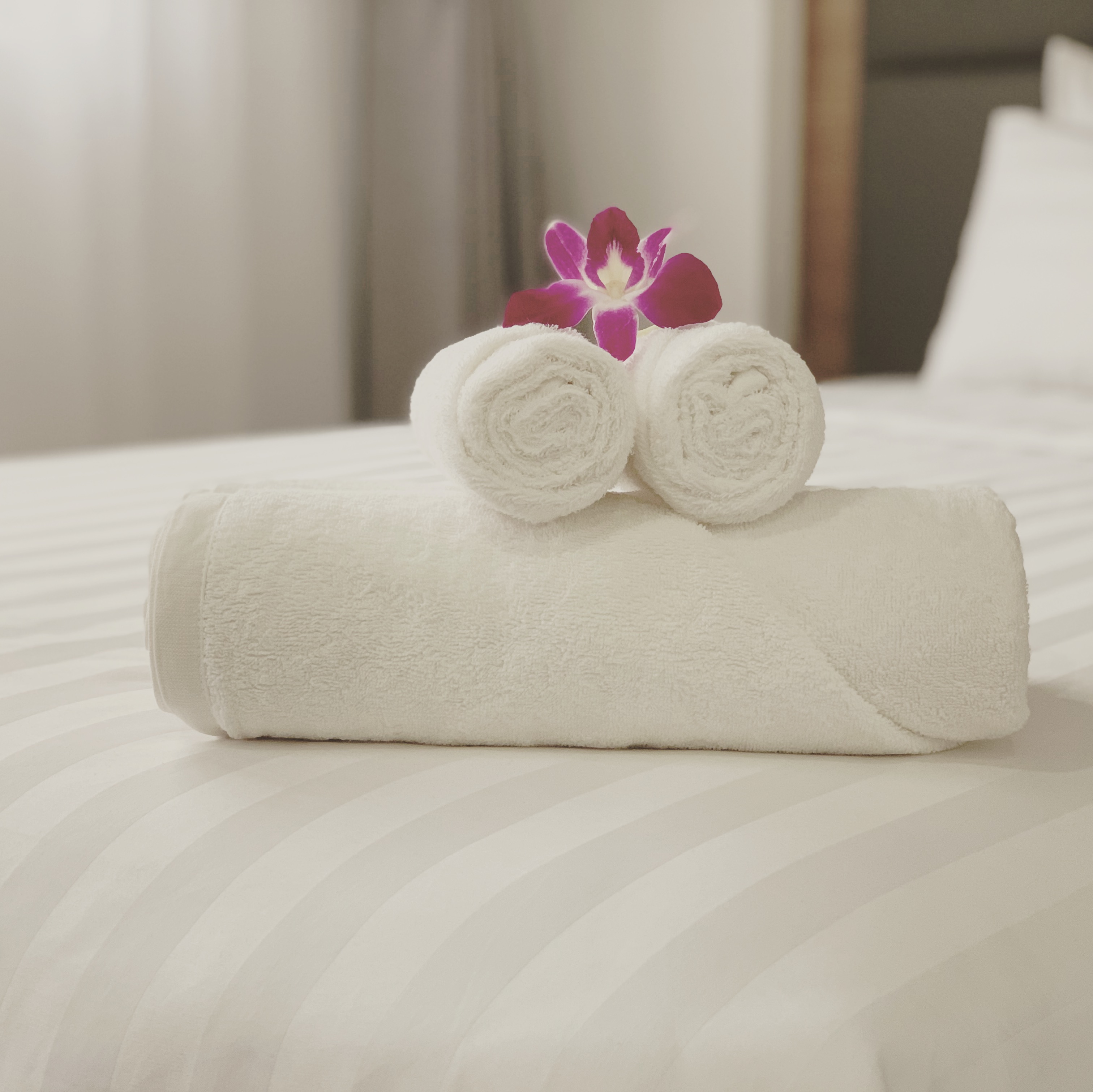 Double Deluxe Premier