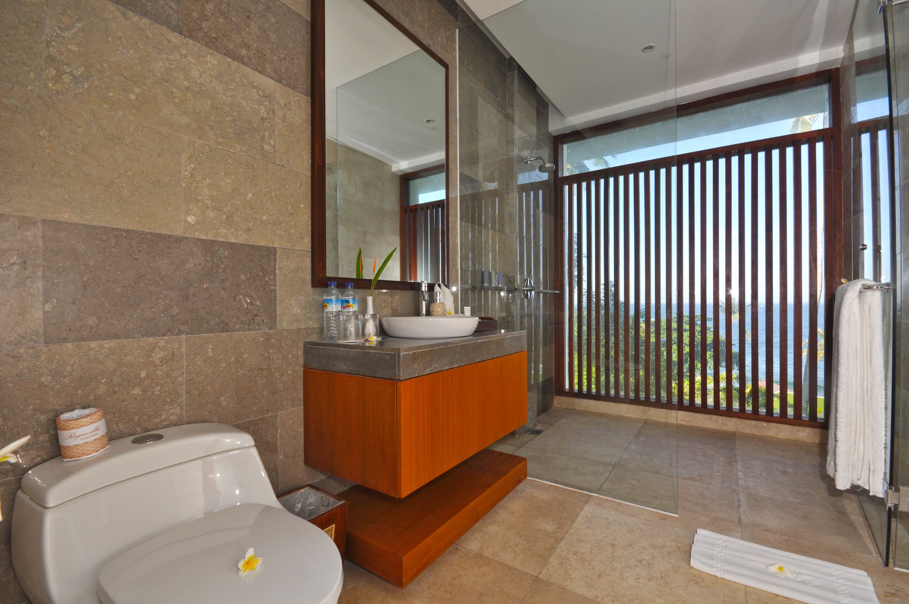 Double Deluxe Ocean View