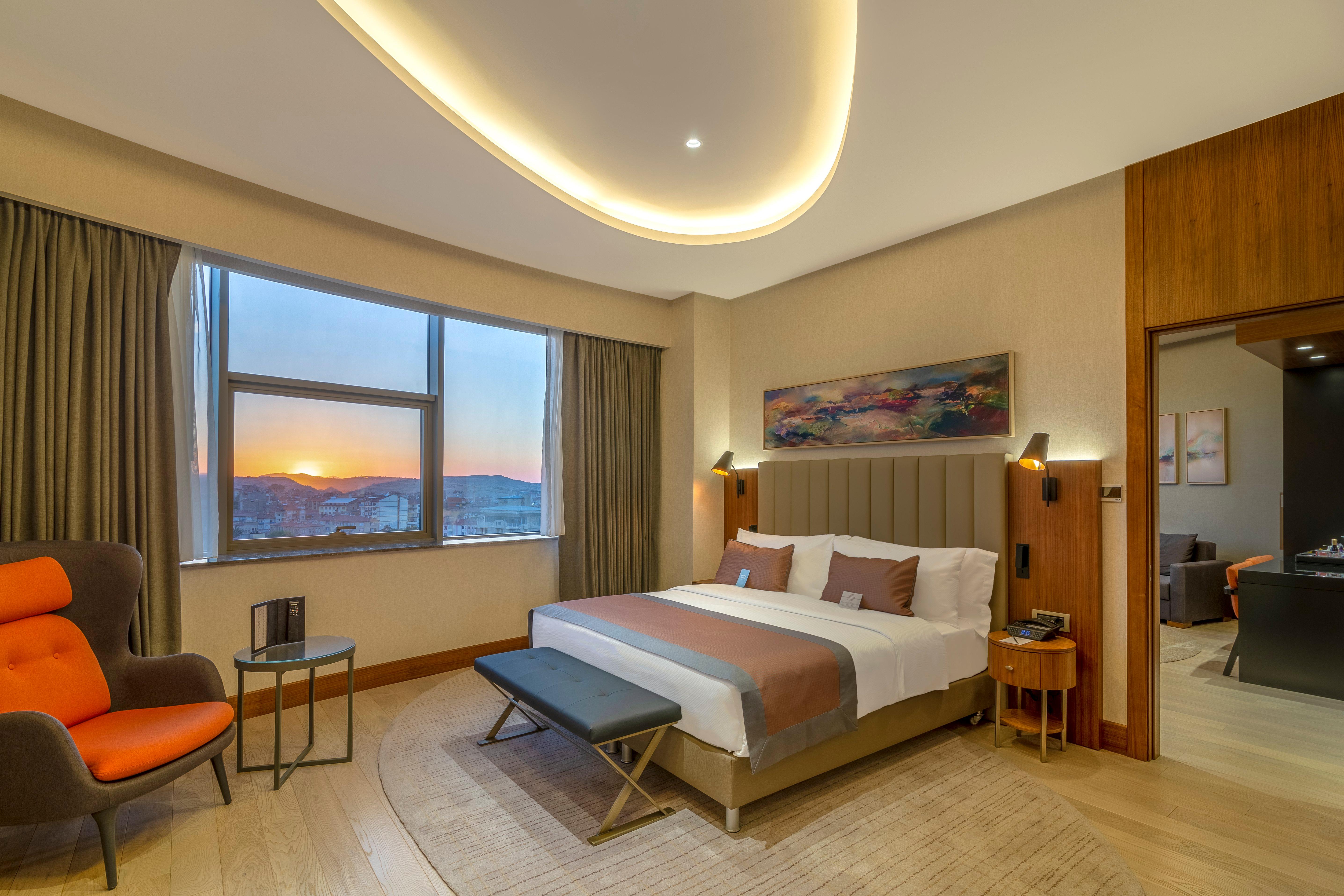 Suite King Bed Non Smoking