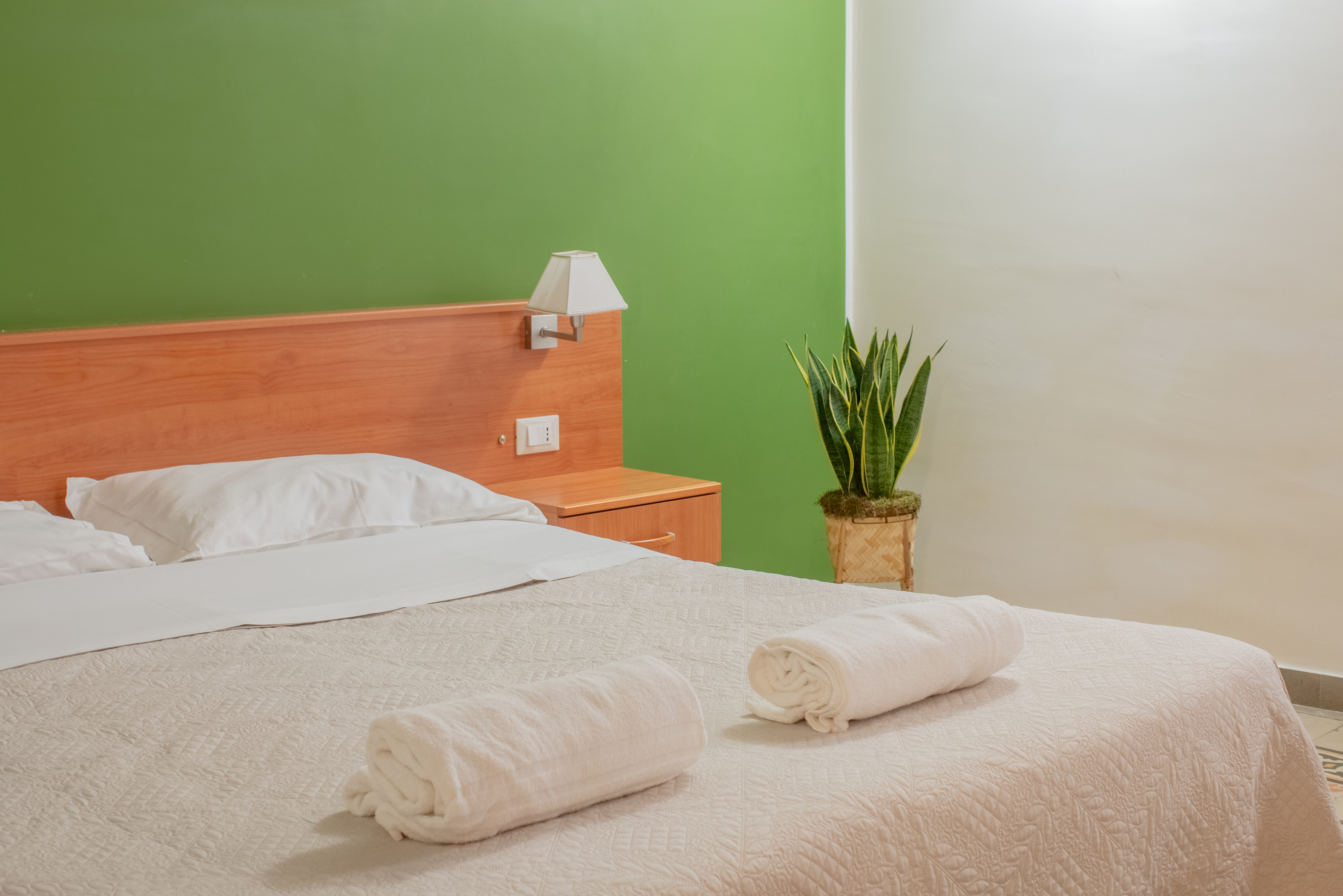 Double or Twin Superior