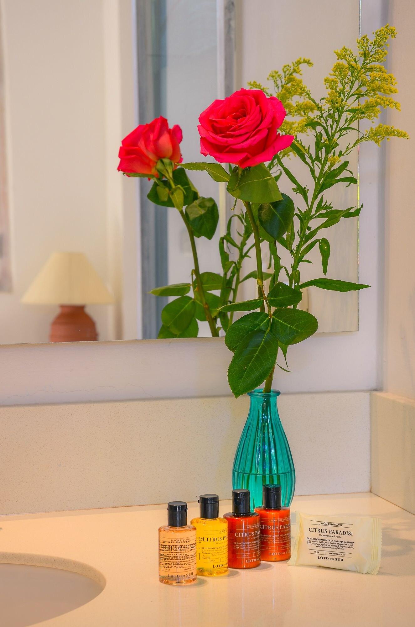 Double or Twin Deluxe Garden View