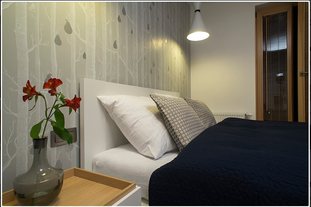 Apartment One Bedroom