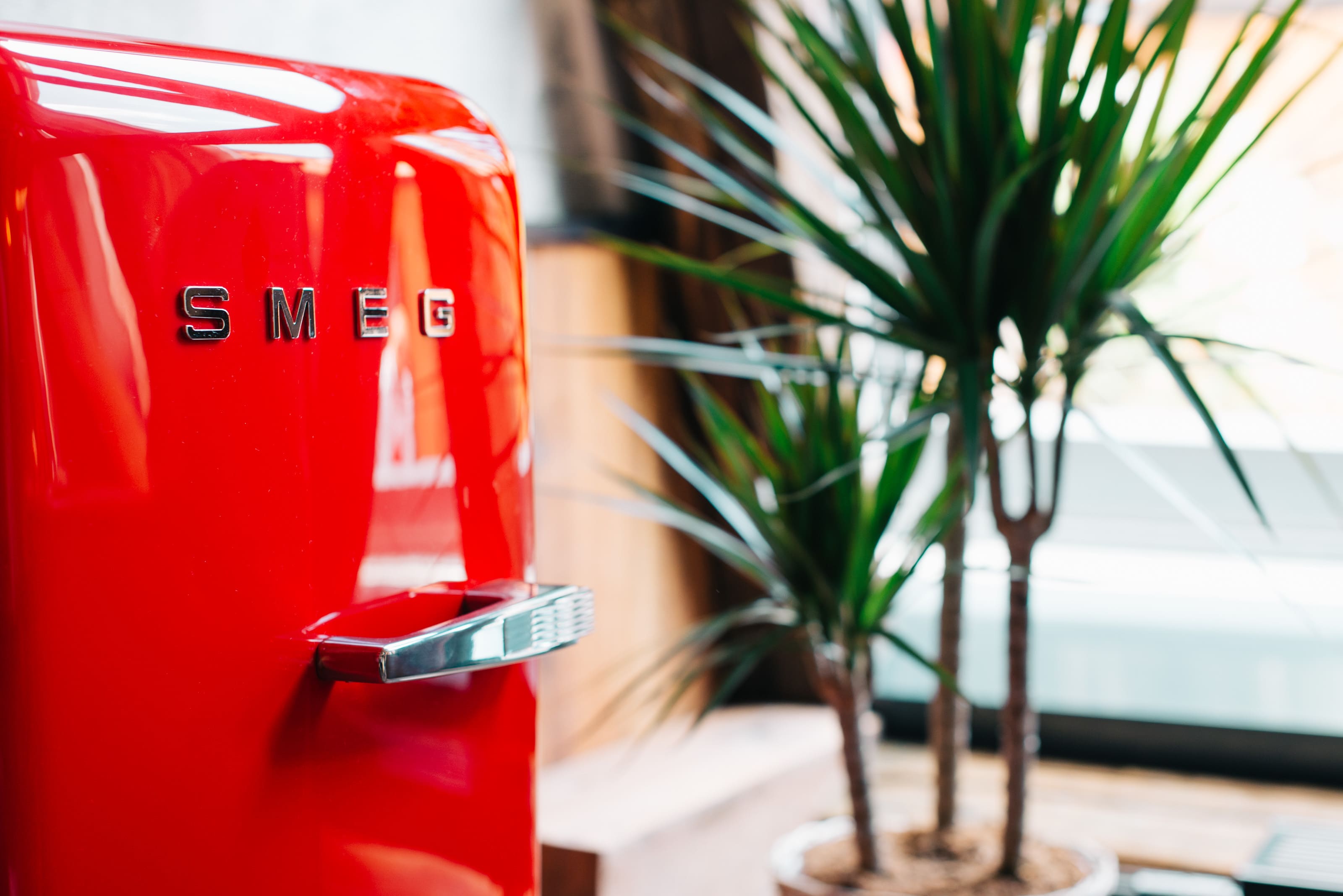 Junior Suite One Bedroom with Terrace