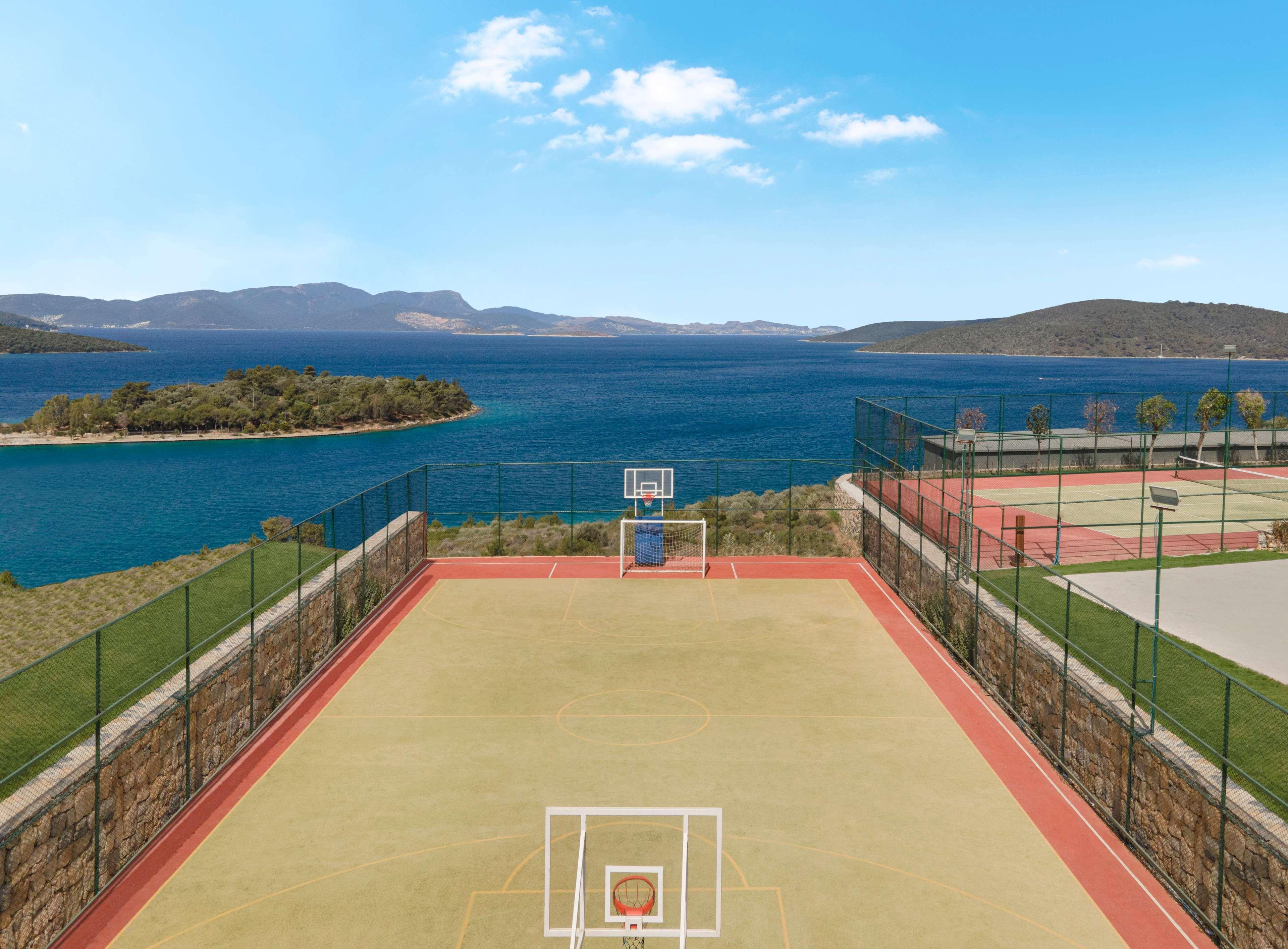 Sports and Entertainment