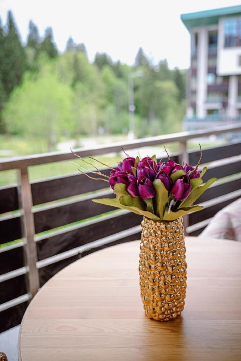 Apartment One Bedroom