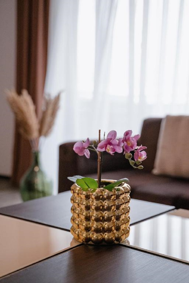 Apartment One Bedroom