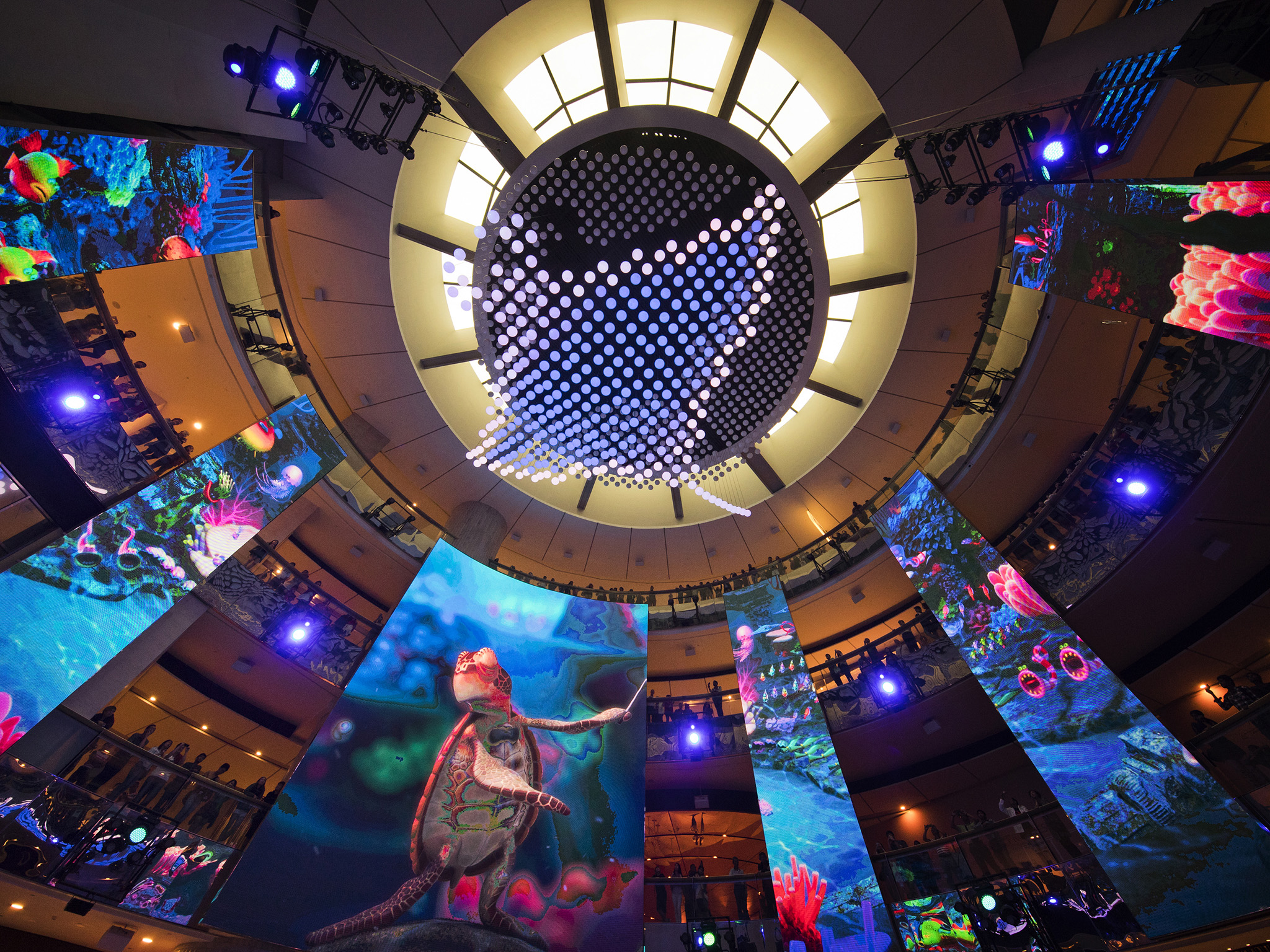 Sports and Entertainment