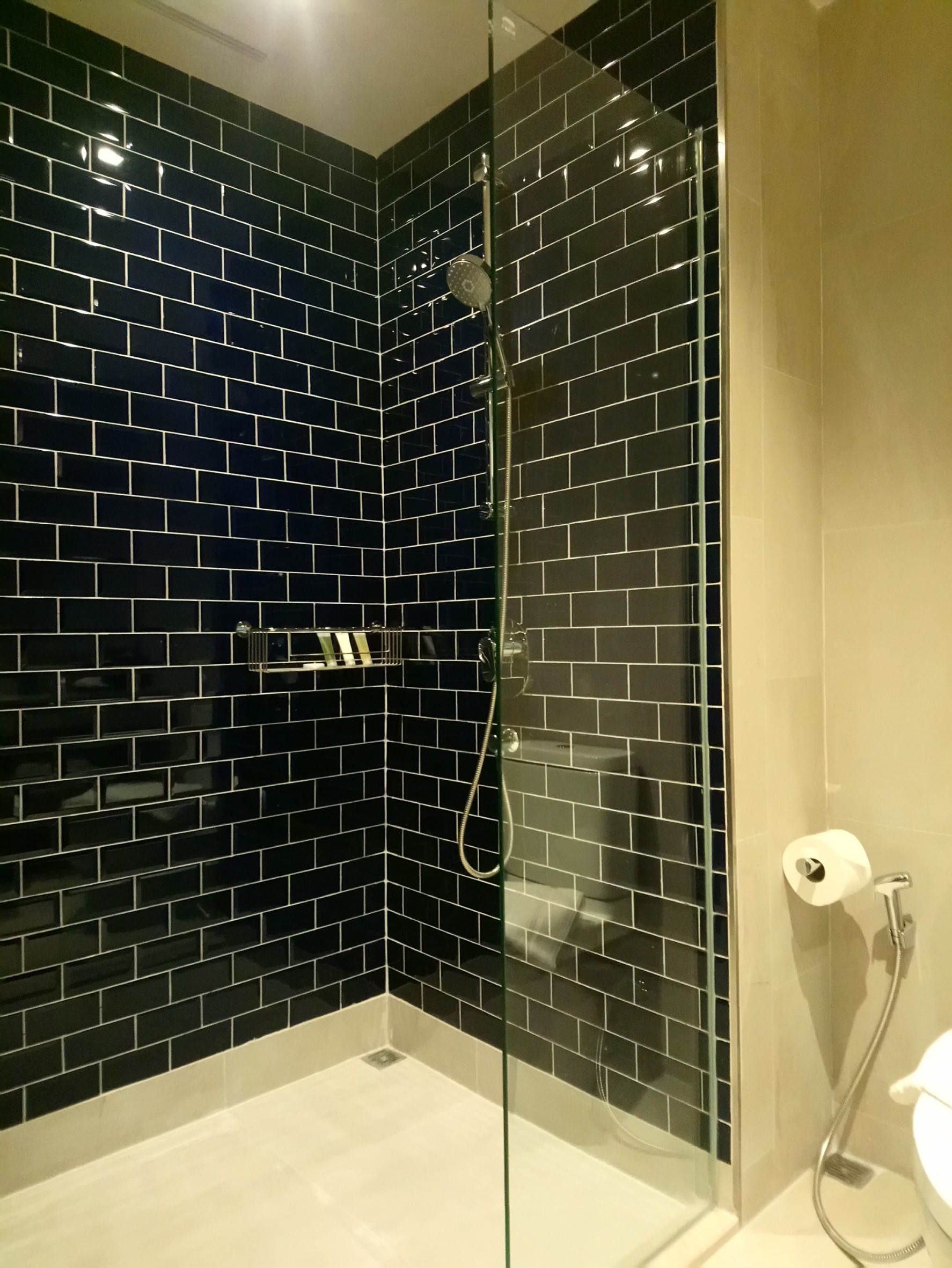 Double or Twin Deluxe with Terrace