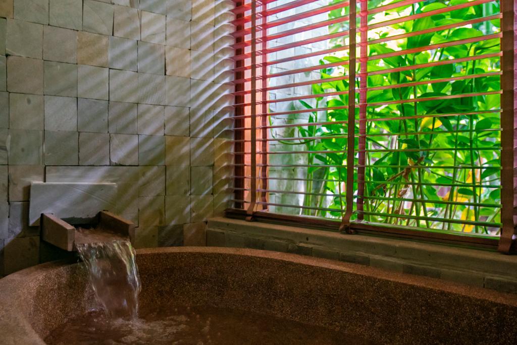 Twin Deluxe Garden View