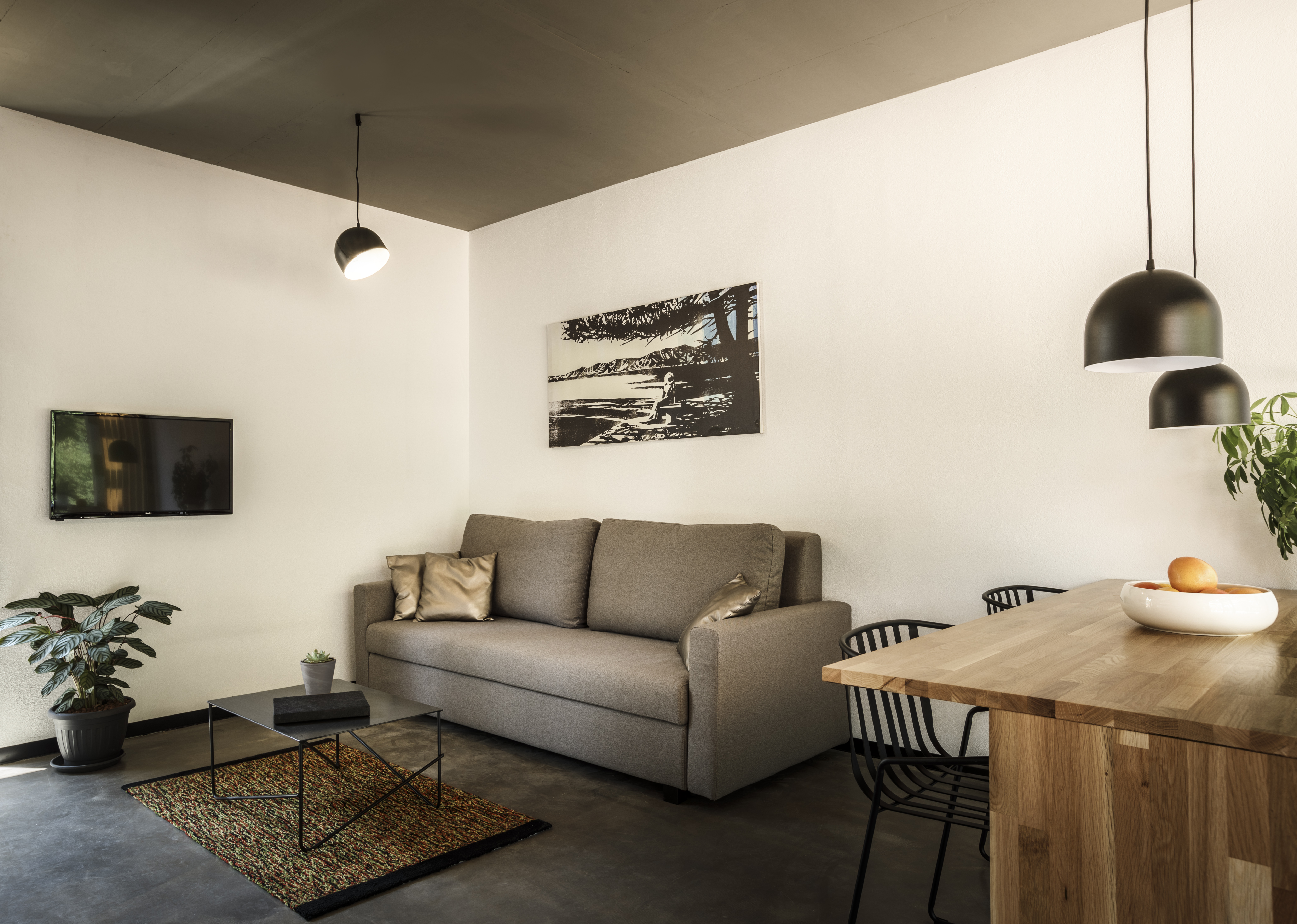 Villa Superior with Terrace