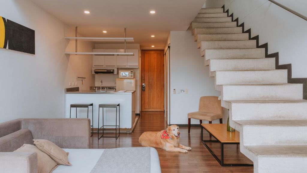 Family Room Standard