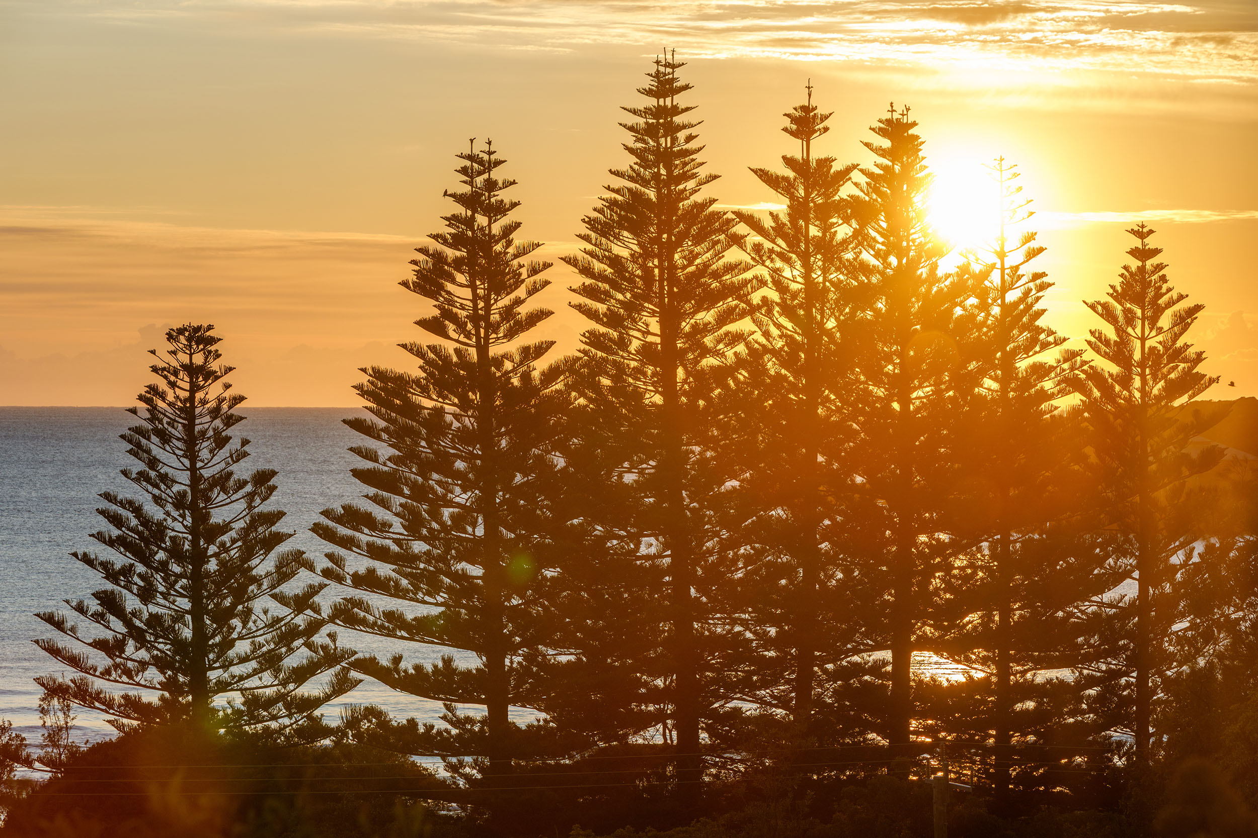 Apartment Ocean View Two Bedrooms