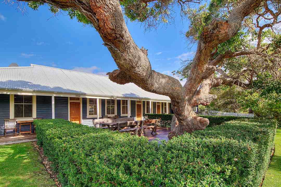 Family Room Classic Garden View