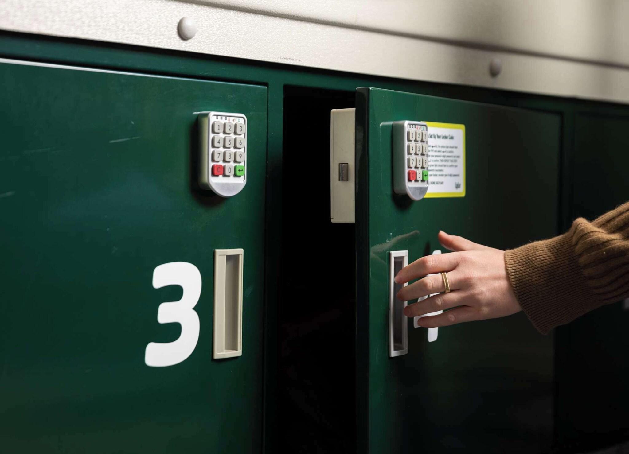 Bed in Dormitory Bunk Bed