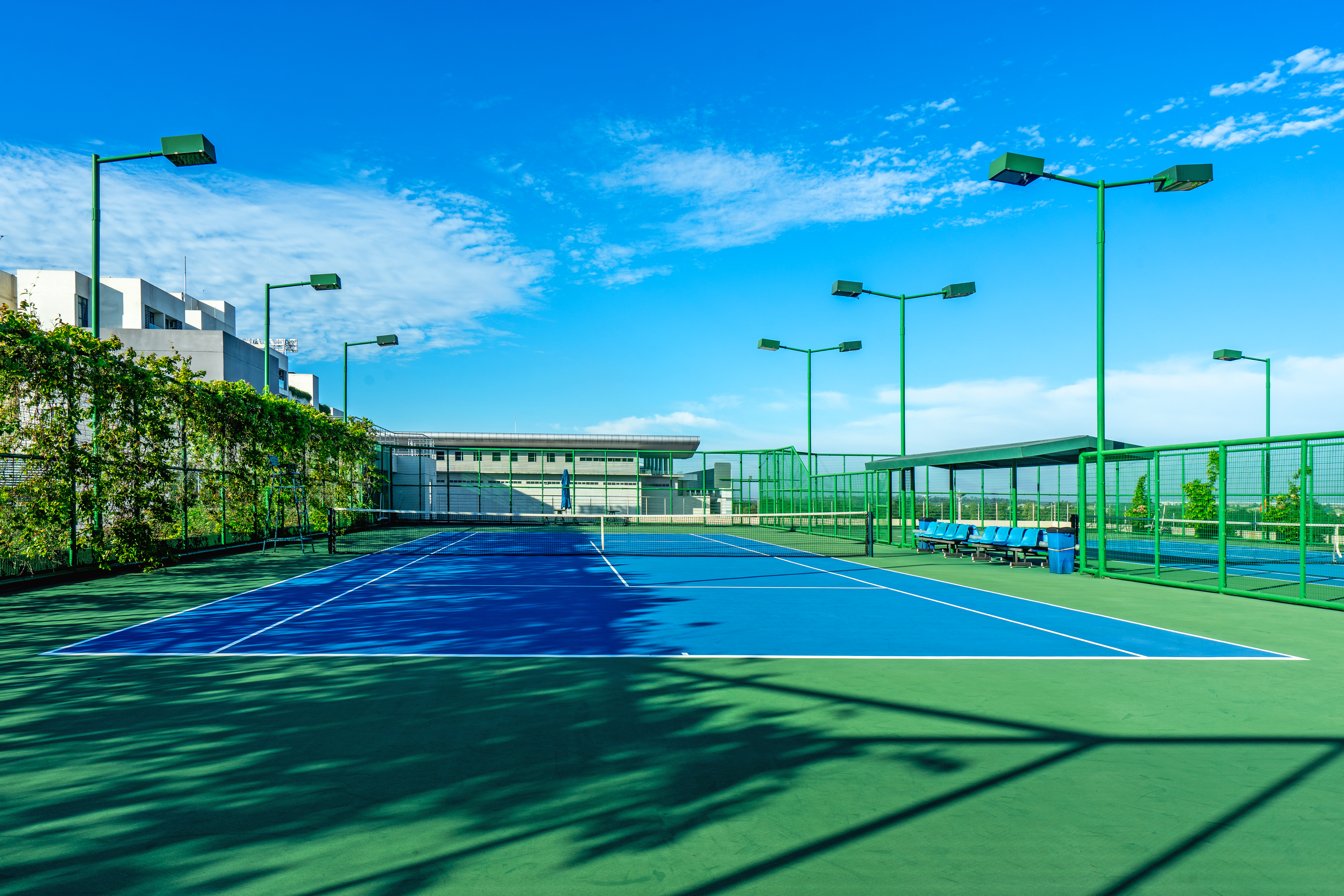 Sports and Entertainment