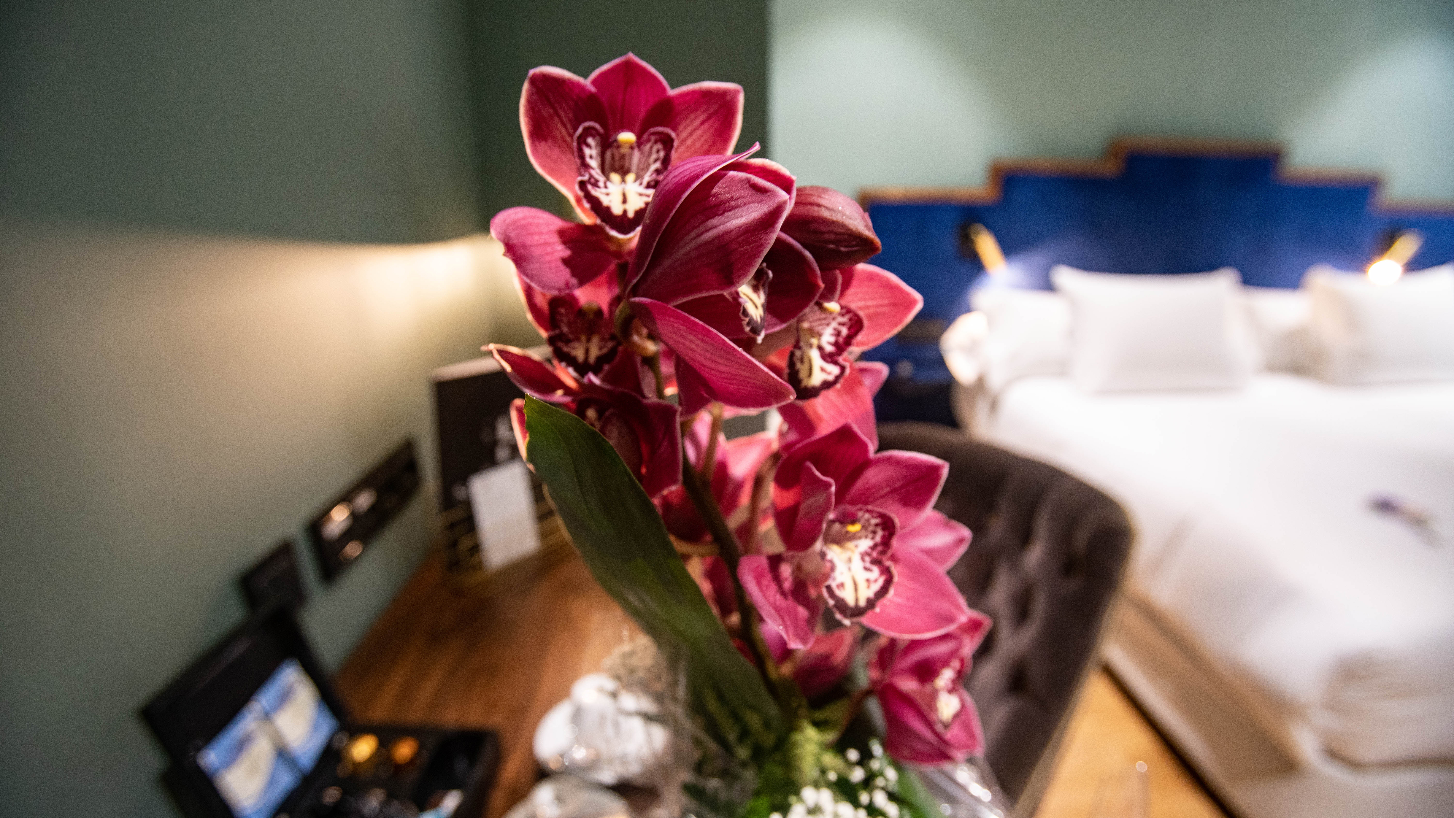 Junior Suite Standard