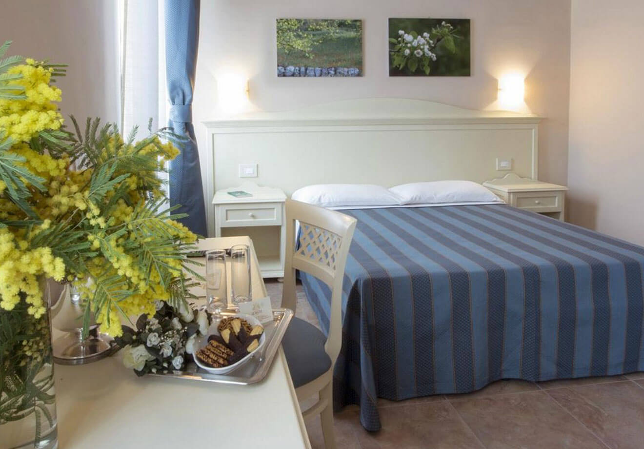 Double or Twin Standard