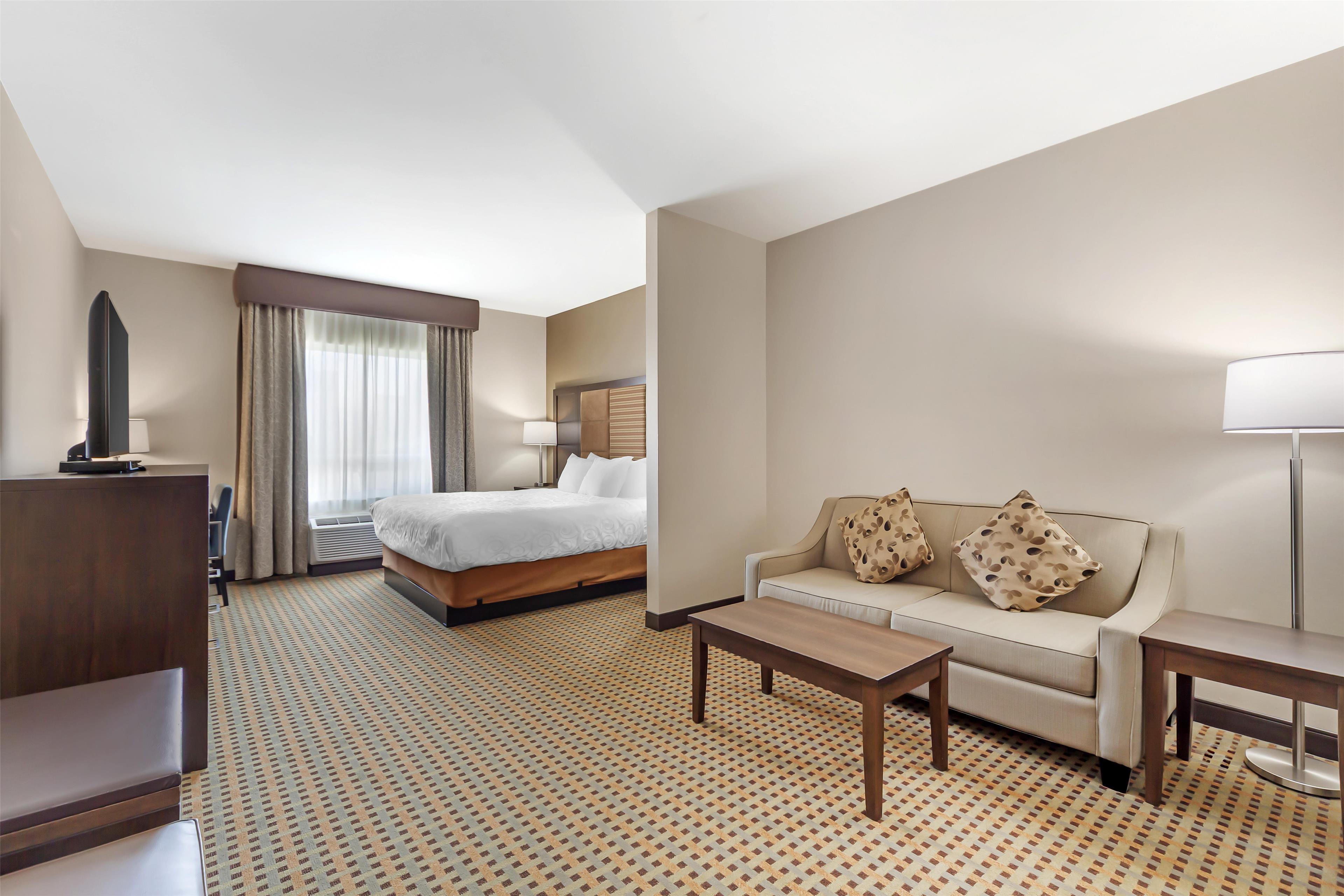 Suite King Bed Non Smoking