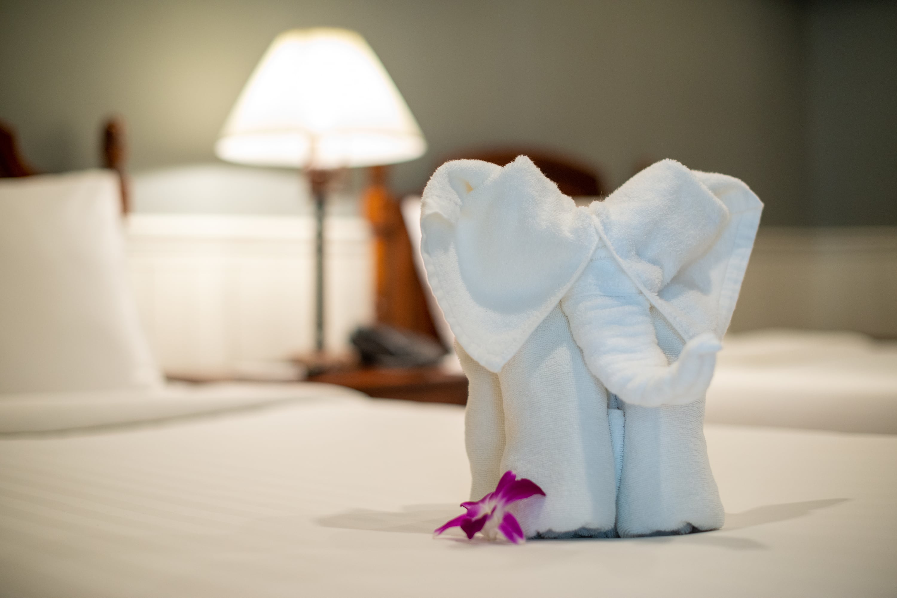 Double or Twin Deluxe