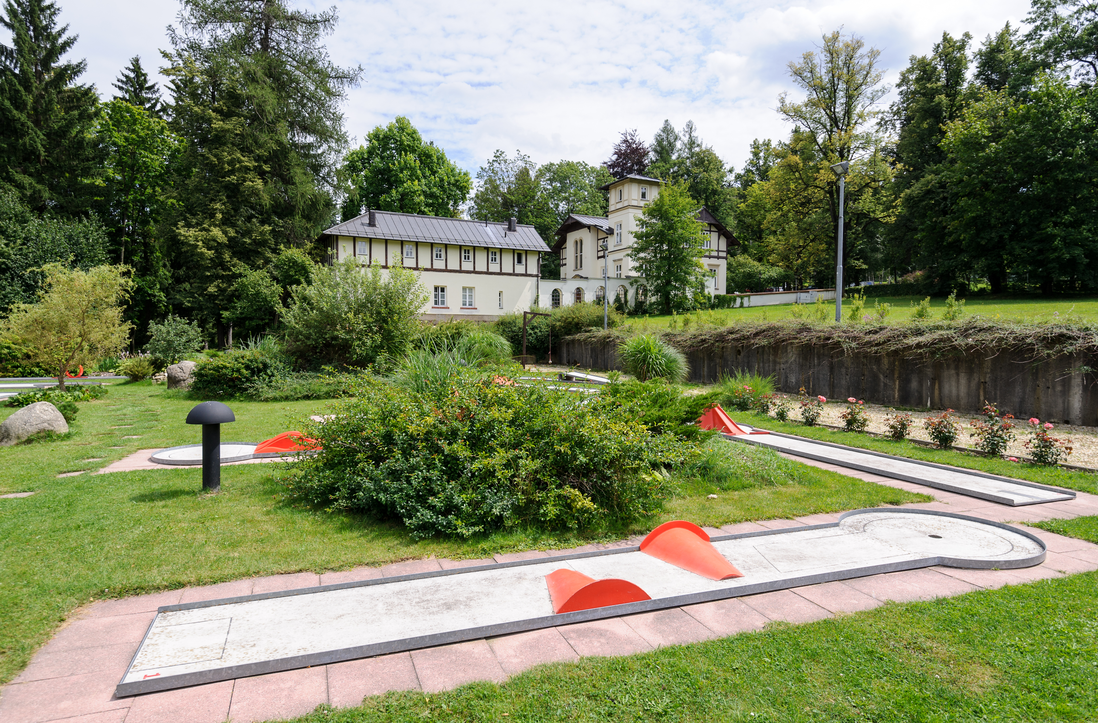 Sports and Entertainment